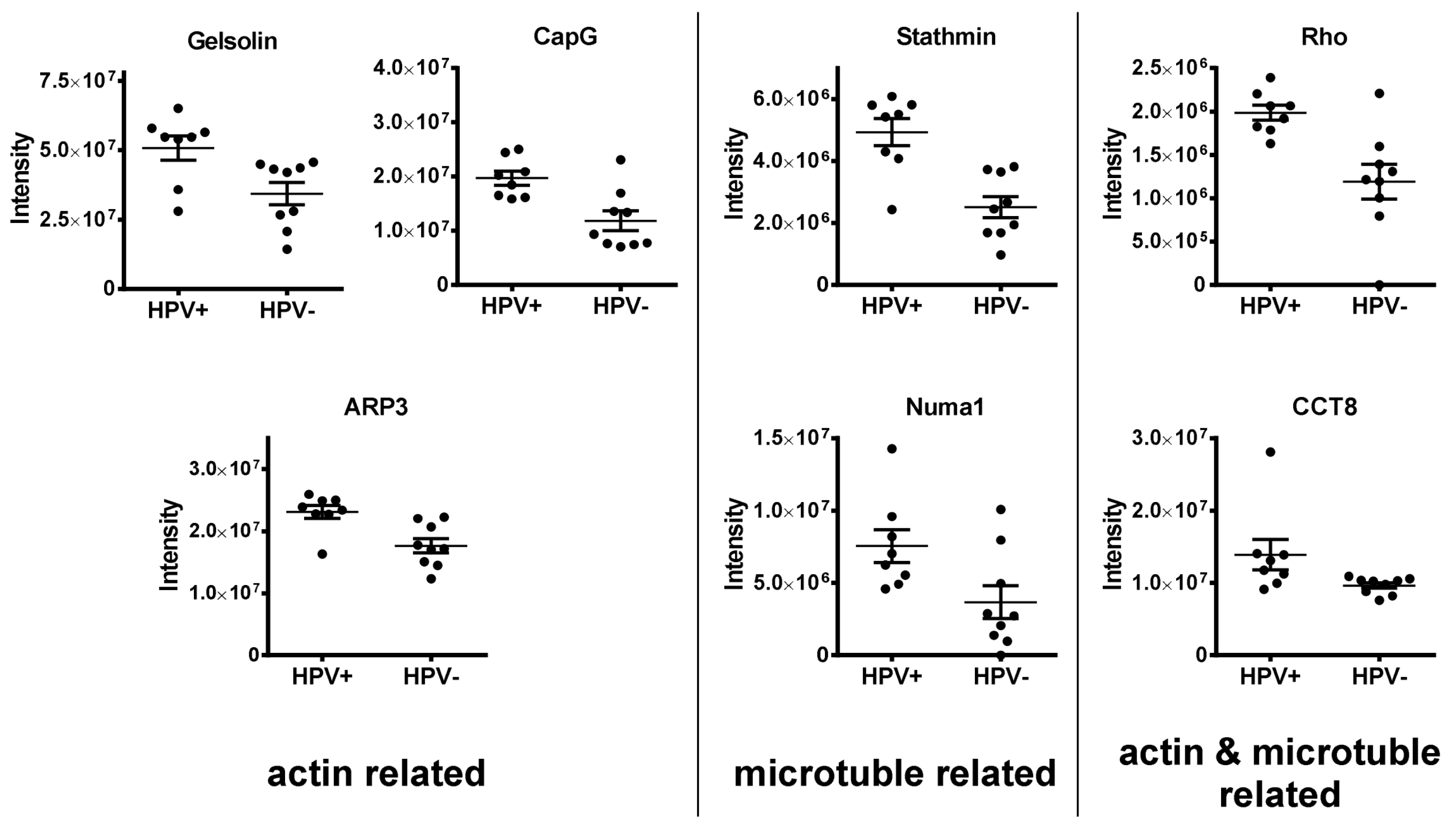 Cancers 12 01531 g005 Cancers 12 01531 g005