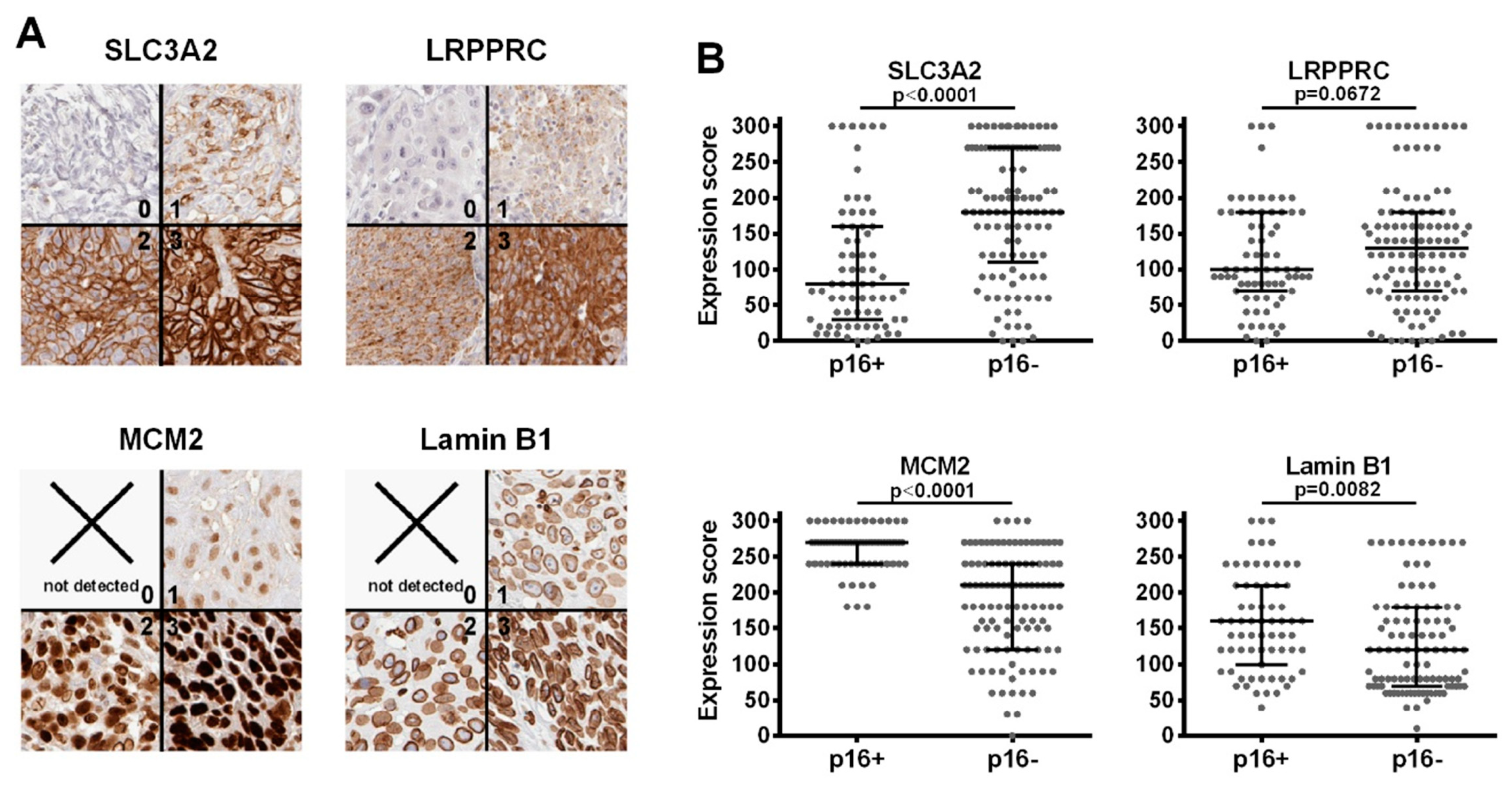 Cancers 12 01531 g006 Cancers 12 01531 g006