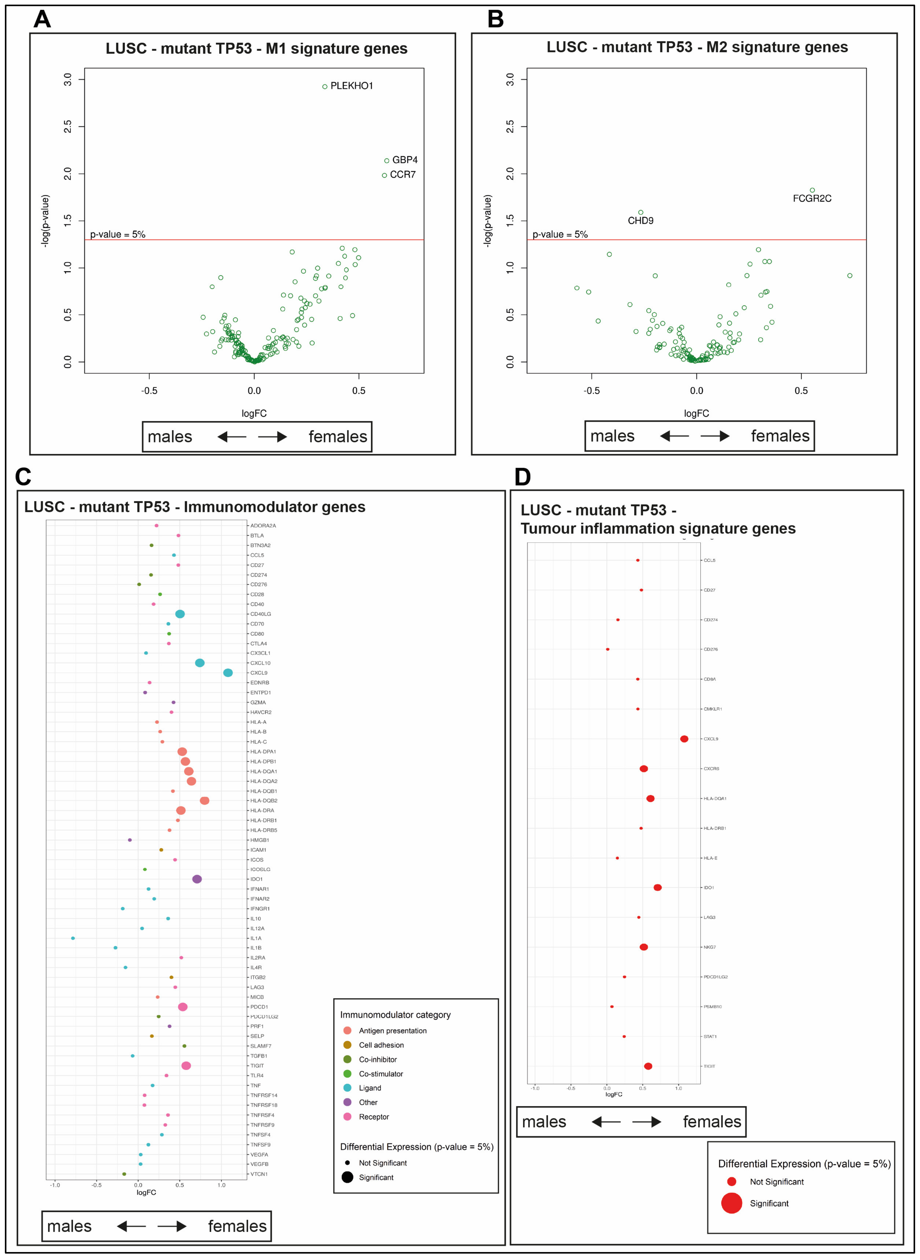 Cancers 12 01535 g007 Cancers 12 01535 g007