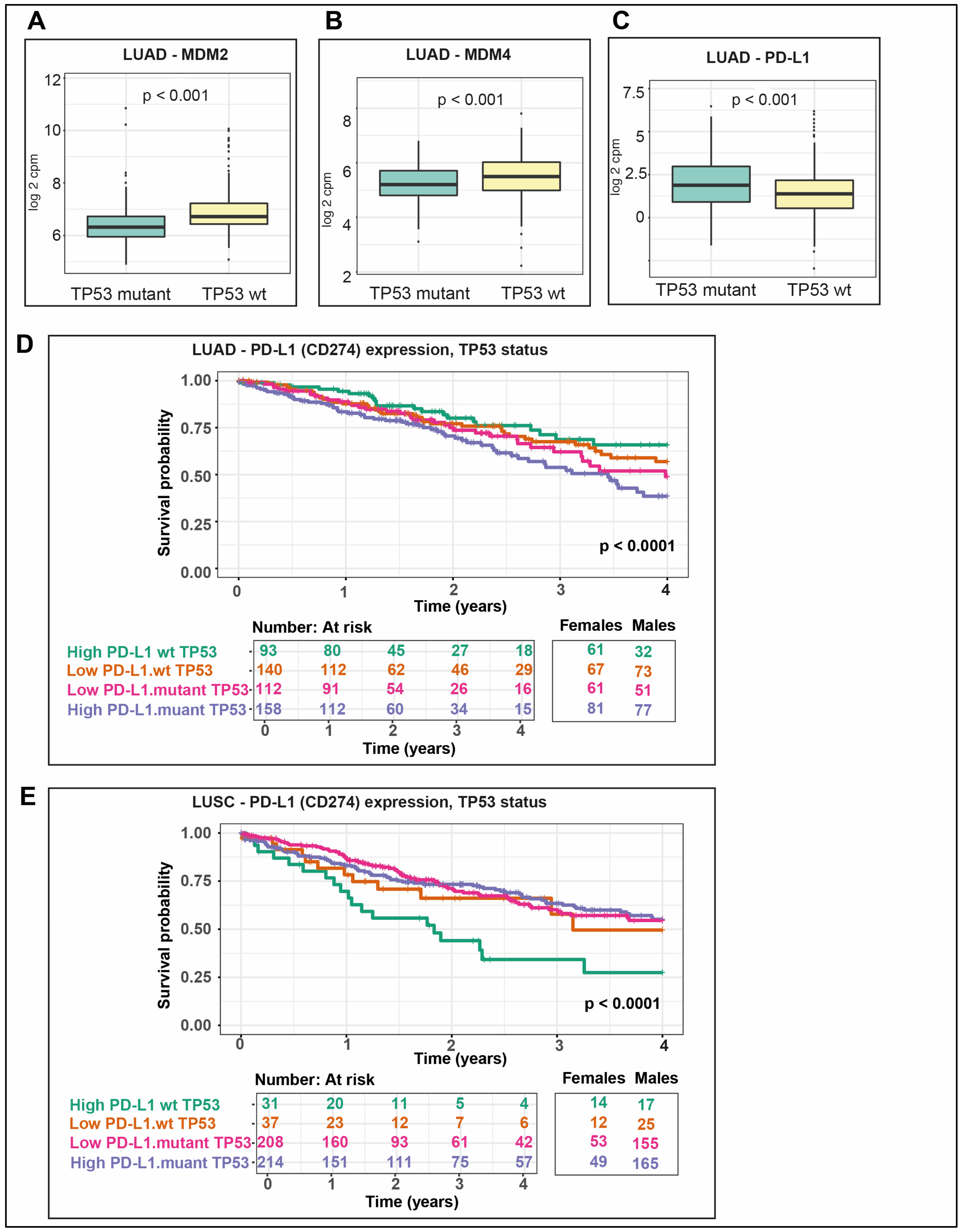 Cancers 12 01535 g008 Cancers 12 01535 g008
