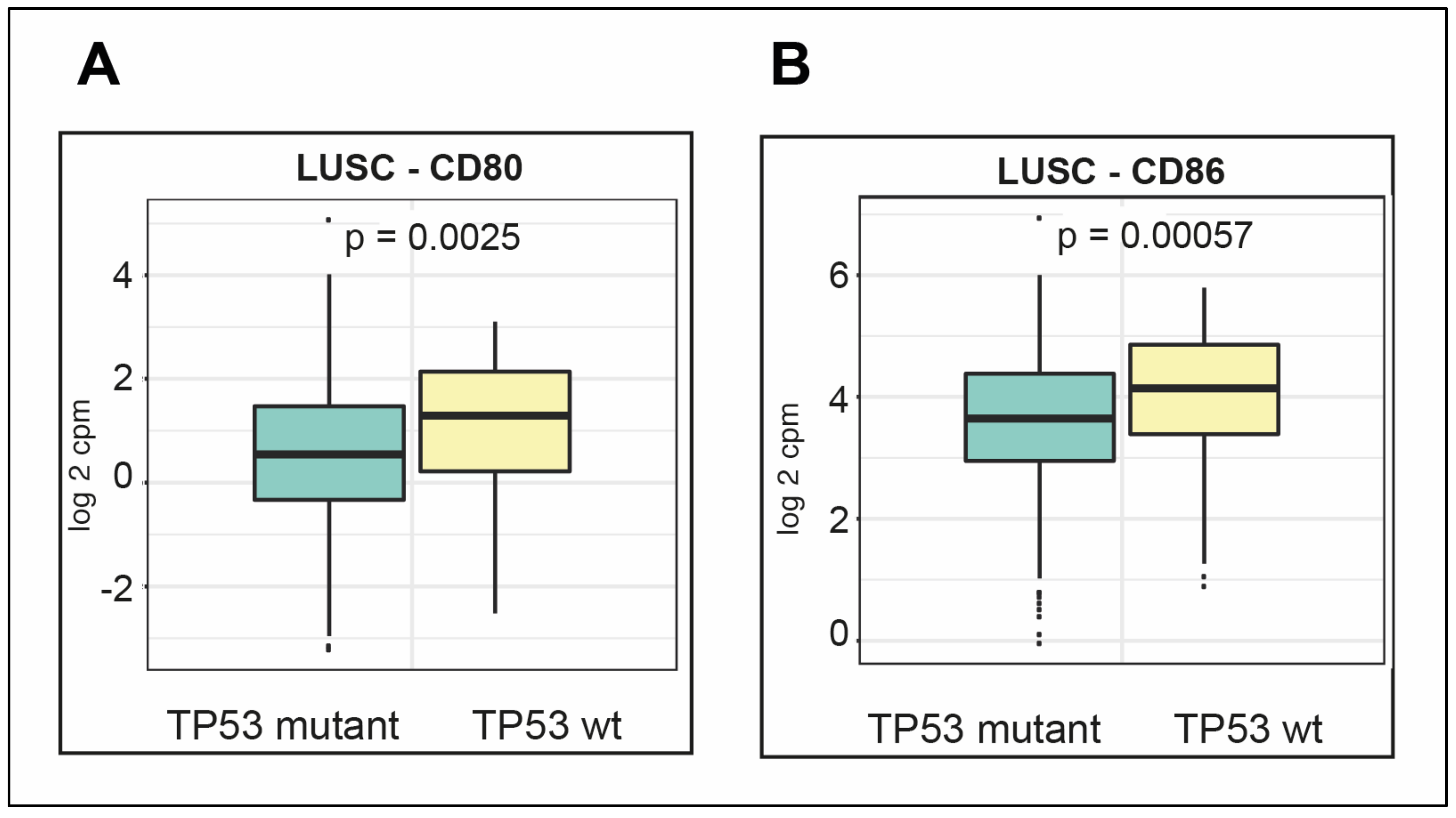 Cancers 12 01535 g009 Cancers 12 01535 g009