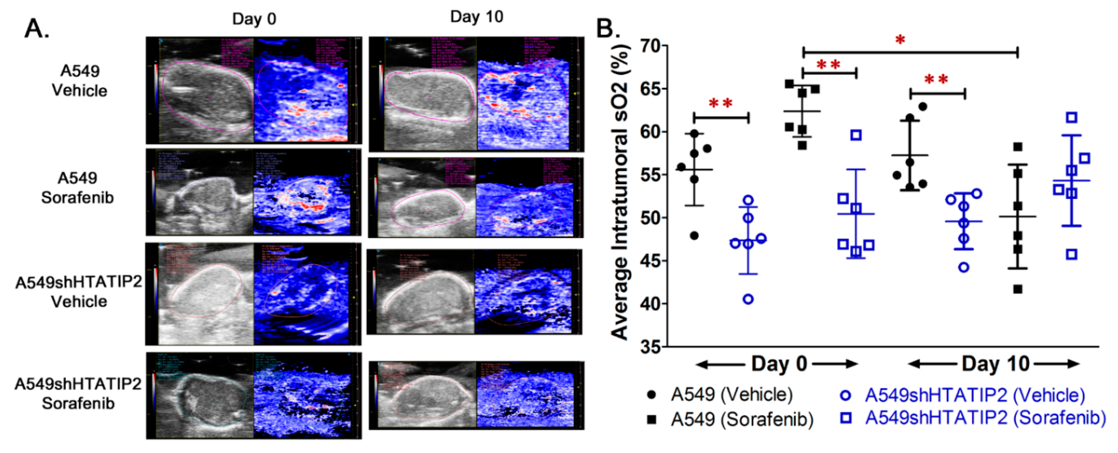 Cancers 12 01538 g004 Cancers 12 01538 g004