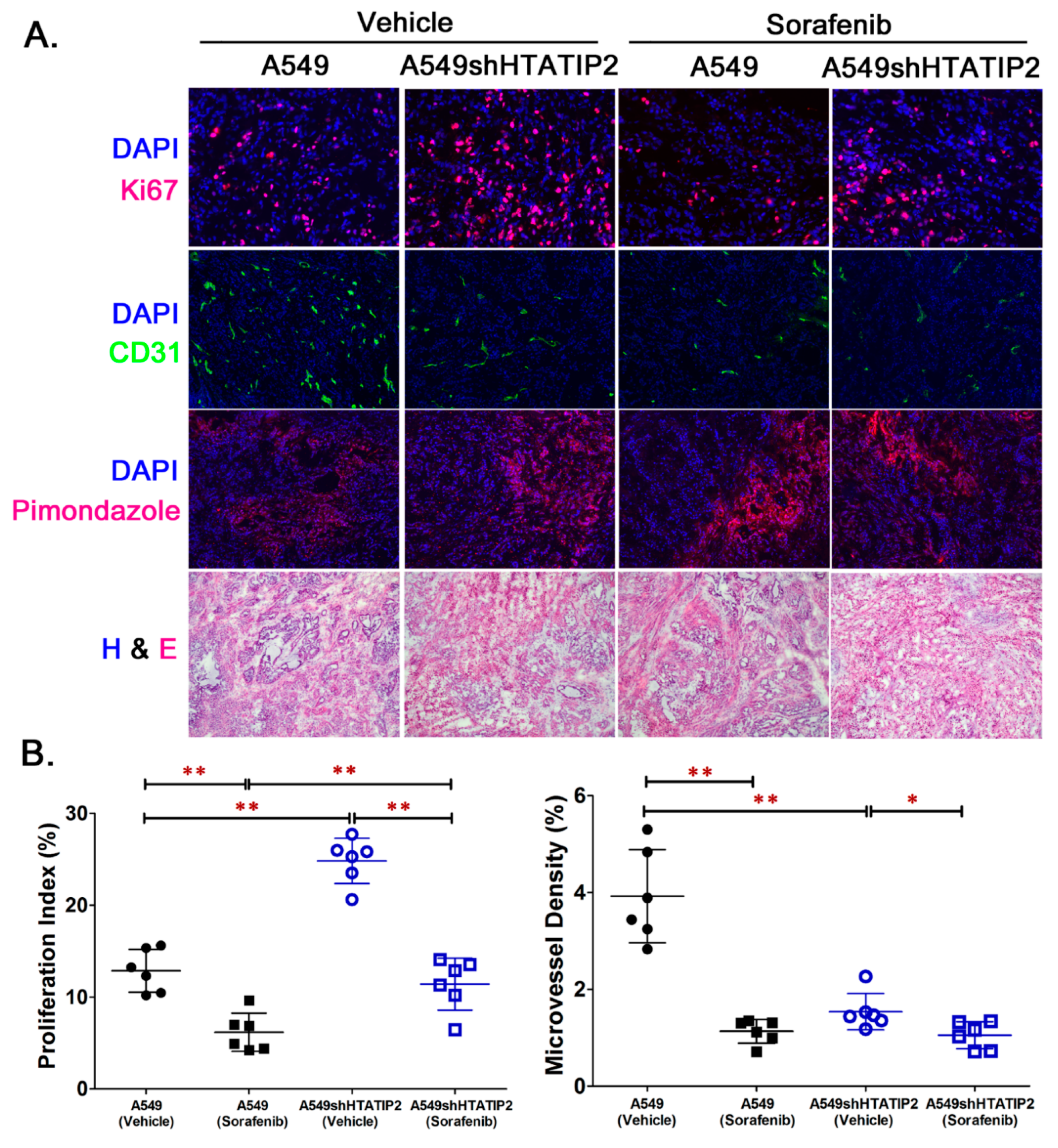 Cancers 12 01538 g005 Cancers 12 01538 g005
