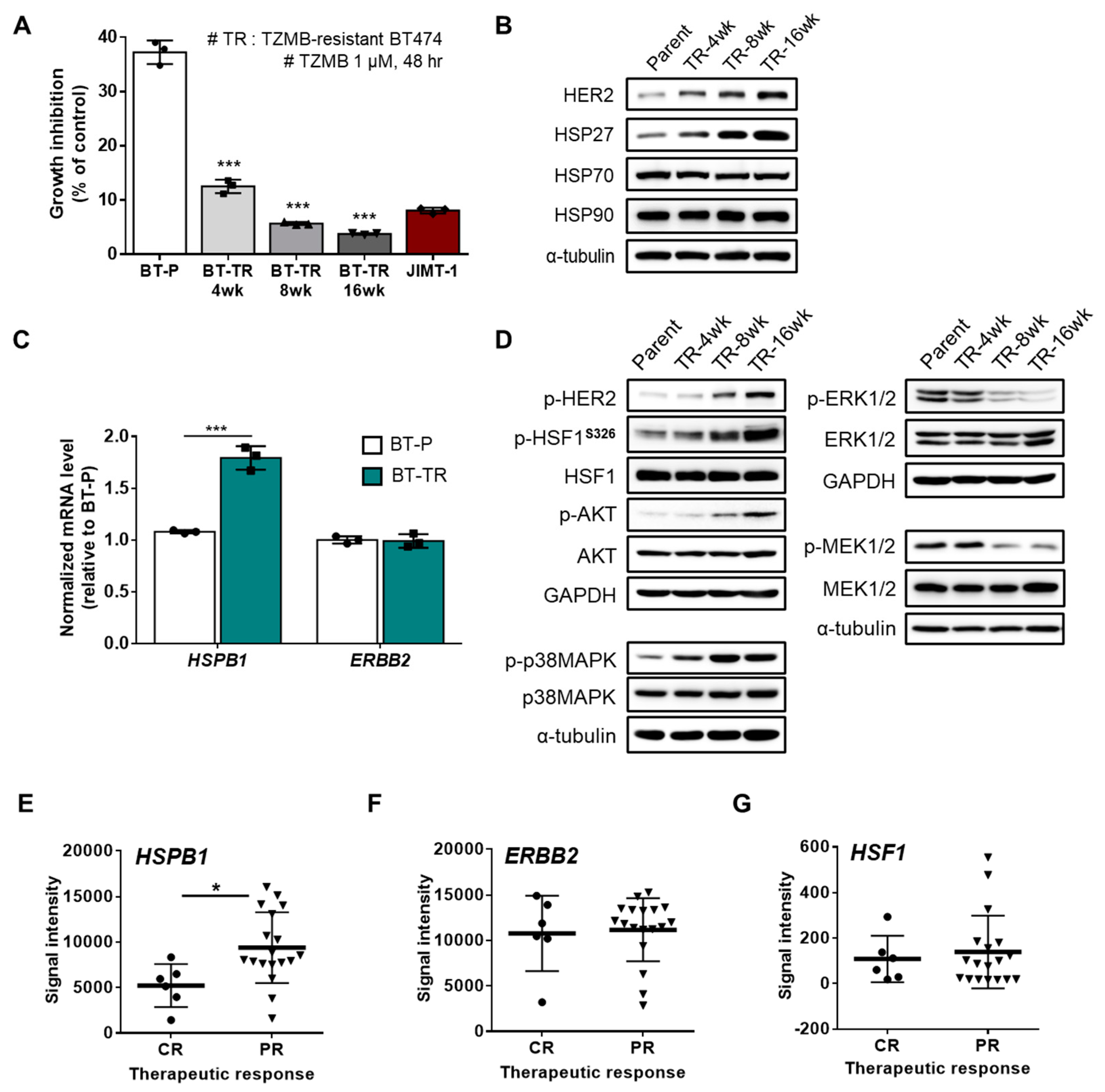 Cancers 12 01540 g002 Cancers 12 01540 g002