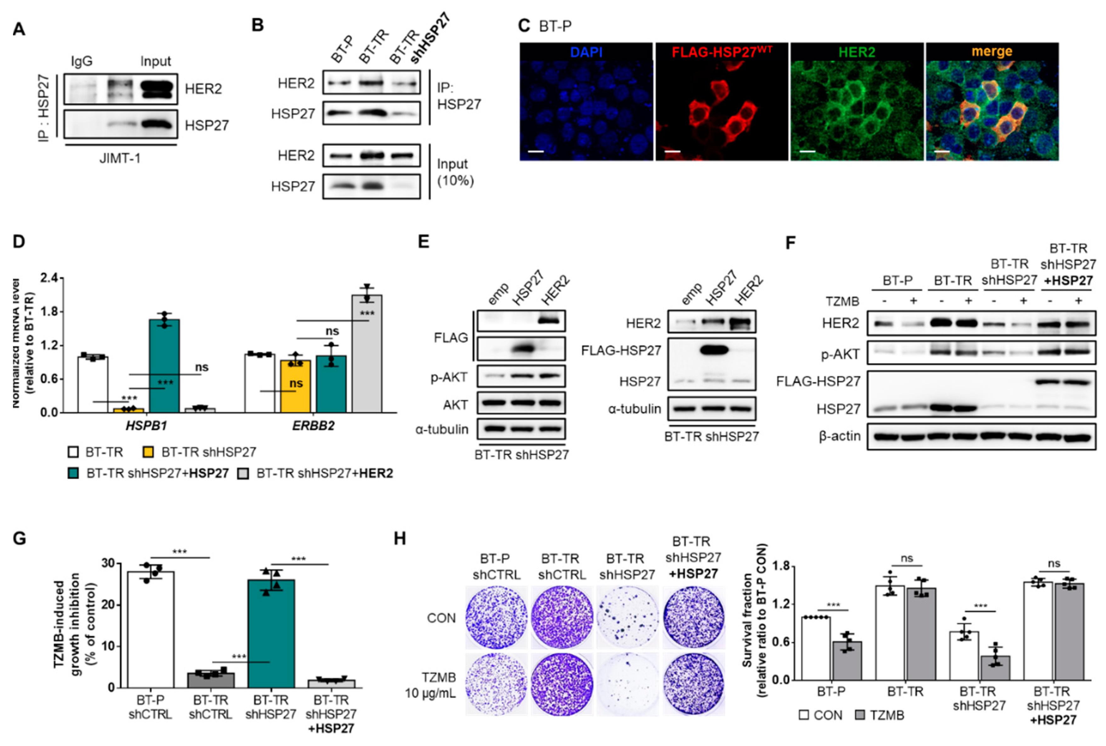 Cancers 12 01540 g003 Cancers 12 01540 g003