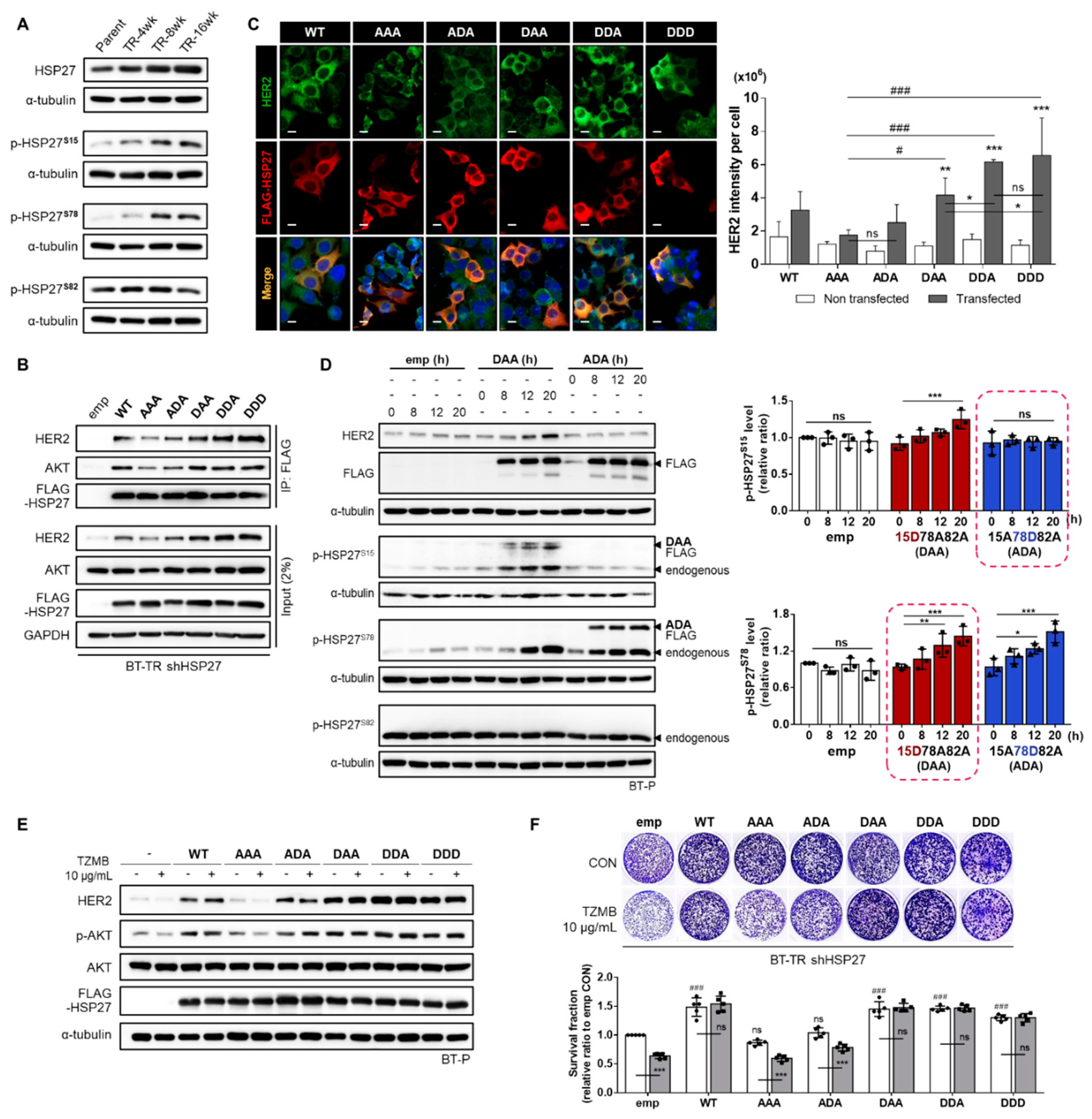 Cancers 12 01540 g004 Cancers 12 01540 g004