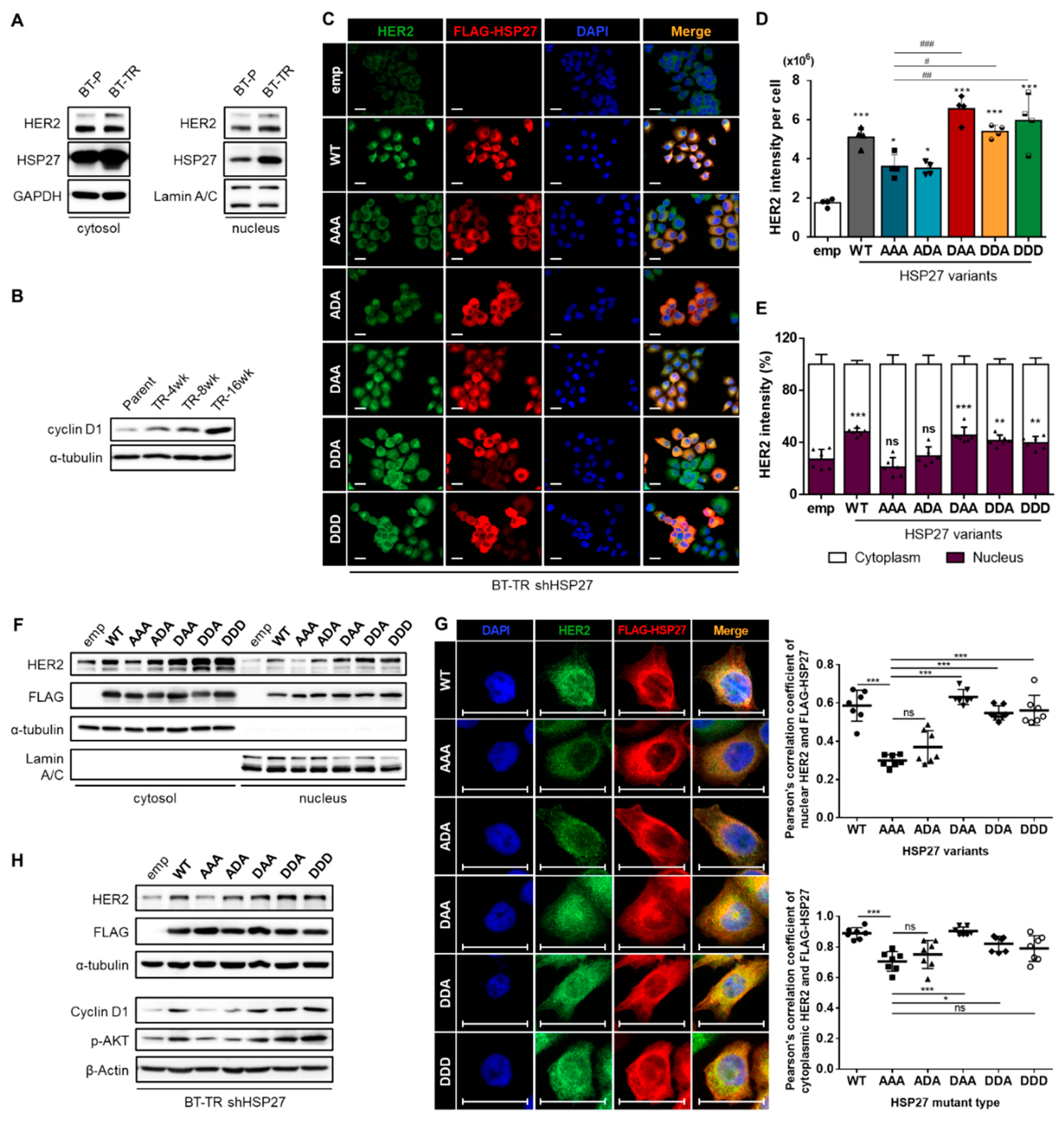 Cancers 12 01540 g005 Cancers 12 01540 g005