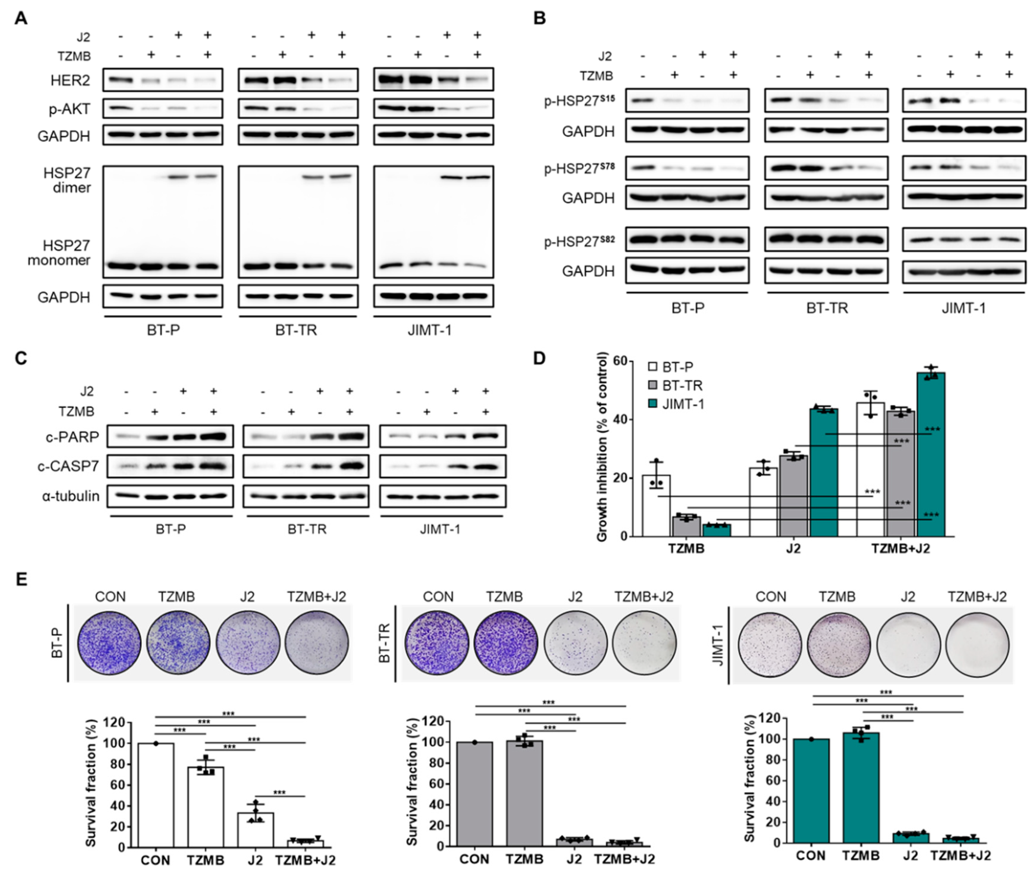 Cancers 12 01540 g007 Cancers 12 01540 g007