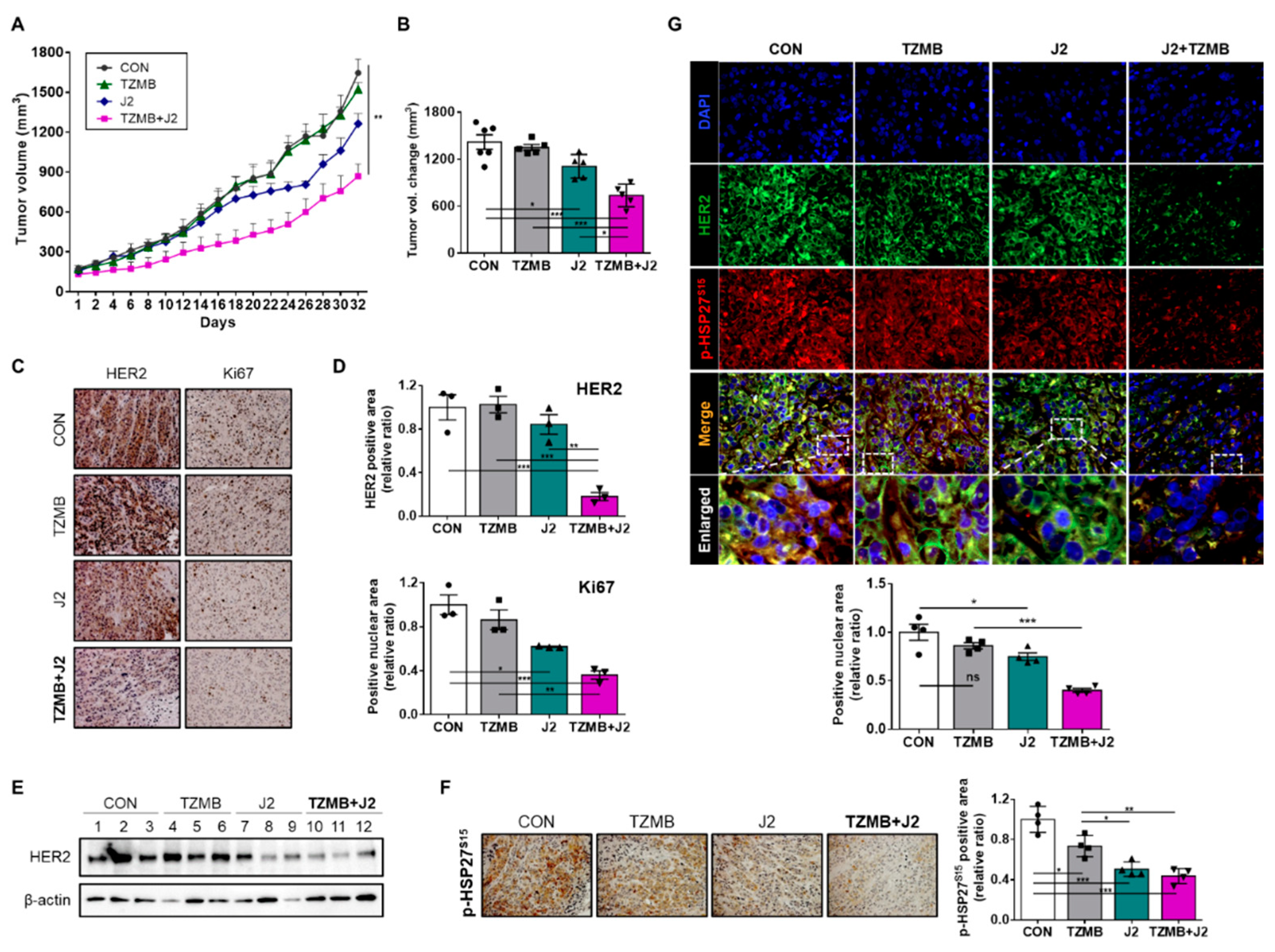 Cancers 12 01540 g008 Cancers 12 01540 g008