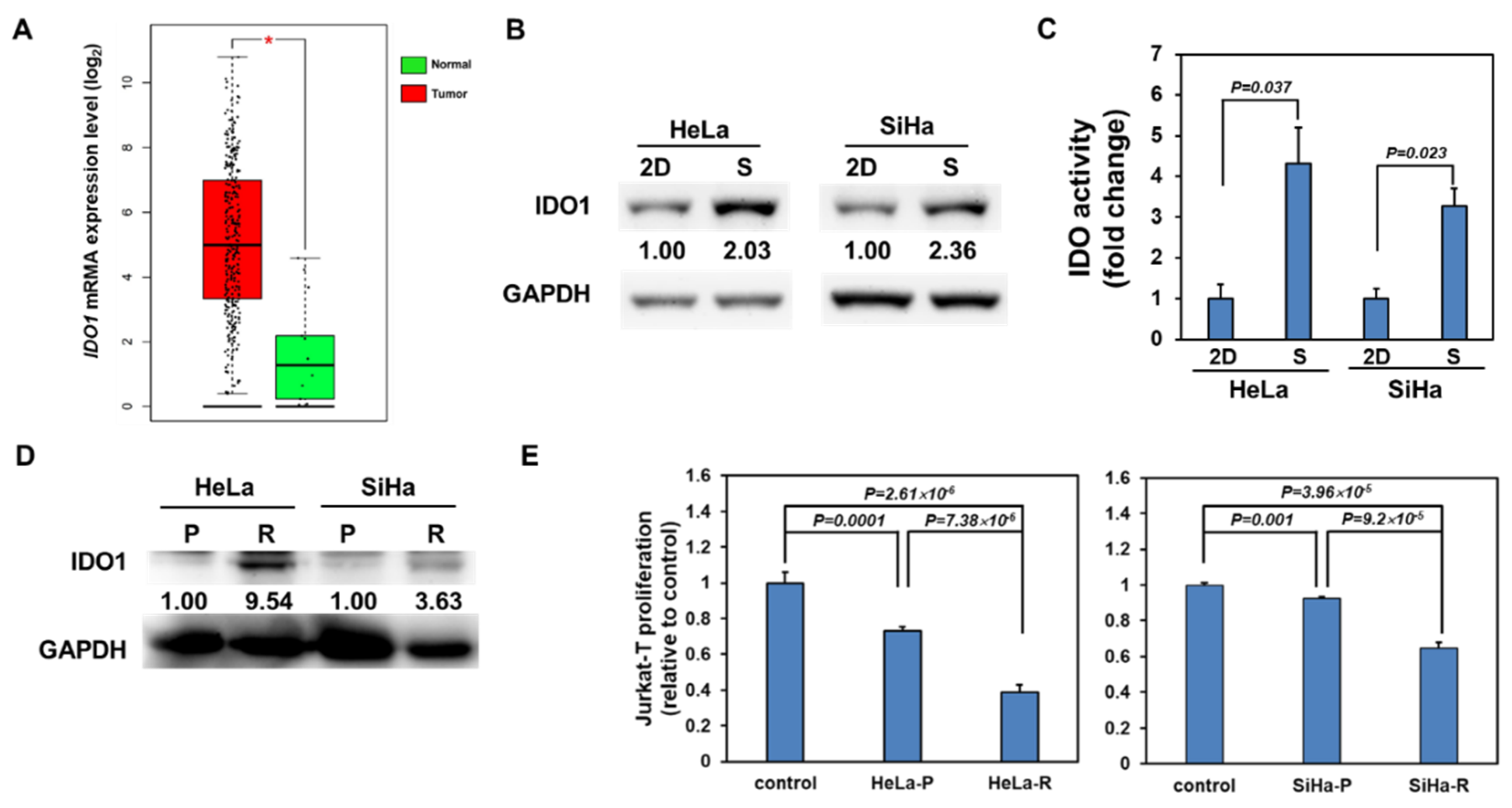 Cancers 12 01547 g001