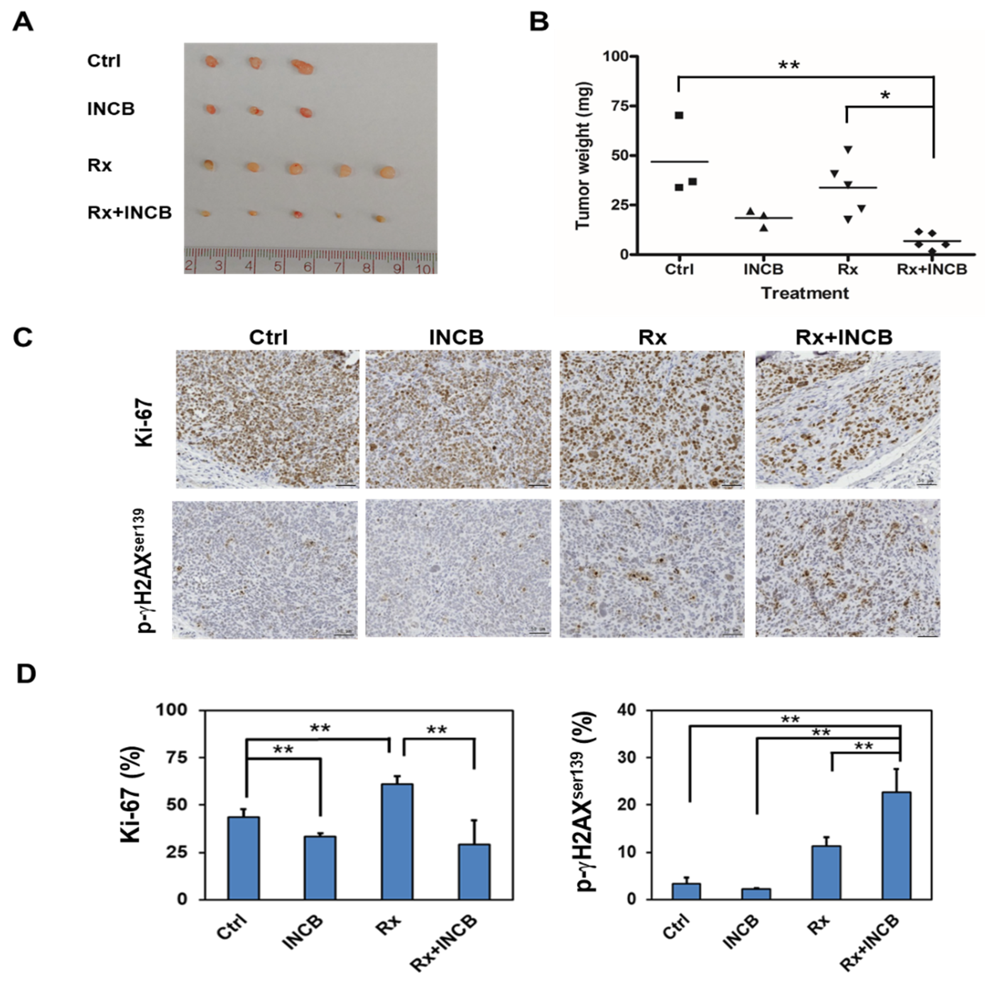 Cancers 12 01547 g006