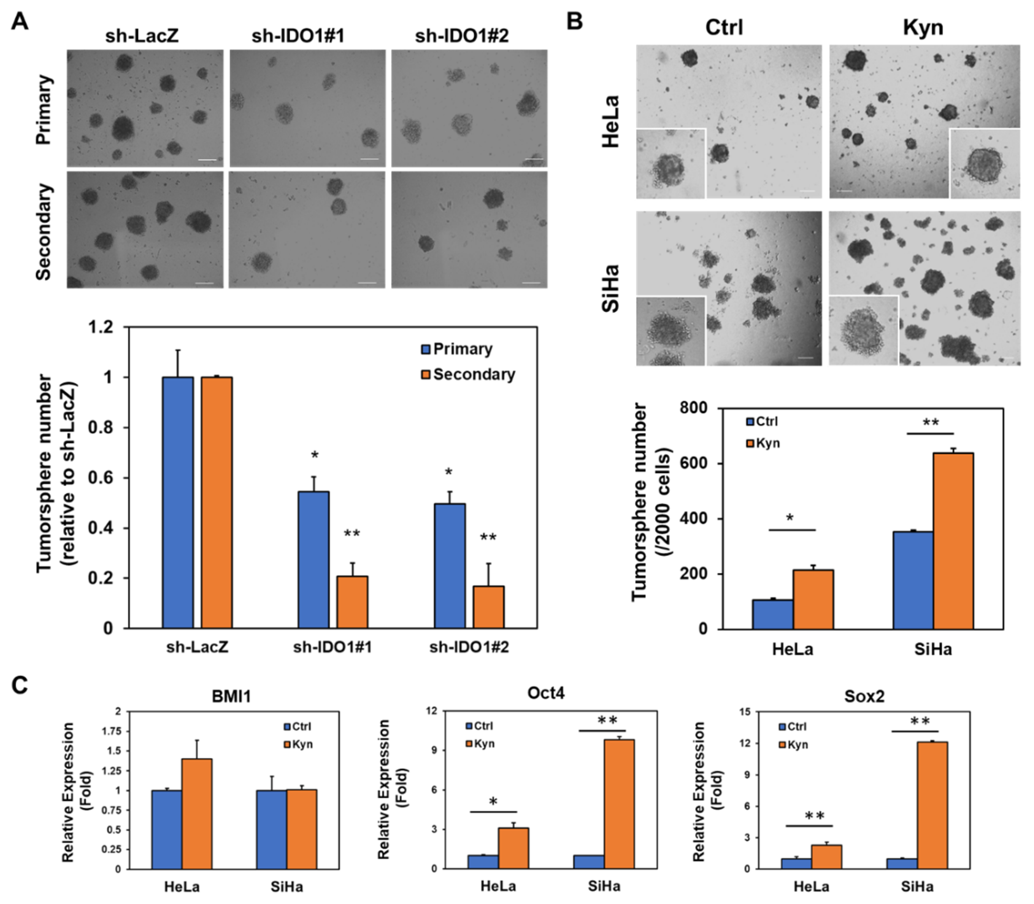 Cancers 12 01547 g007