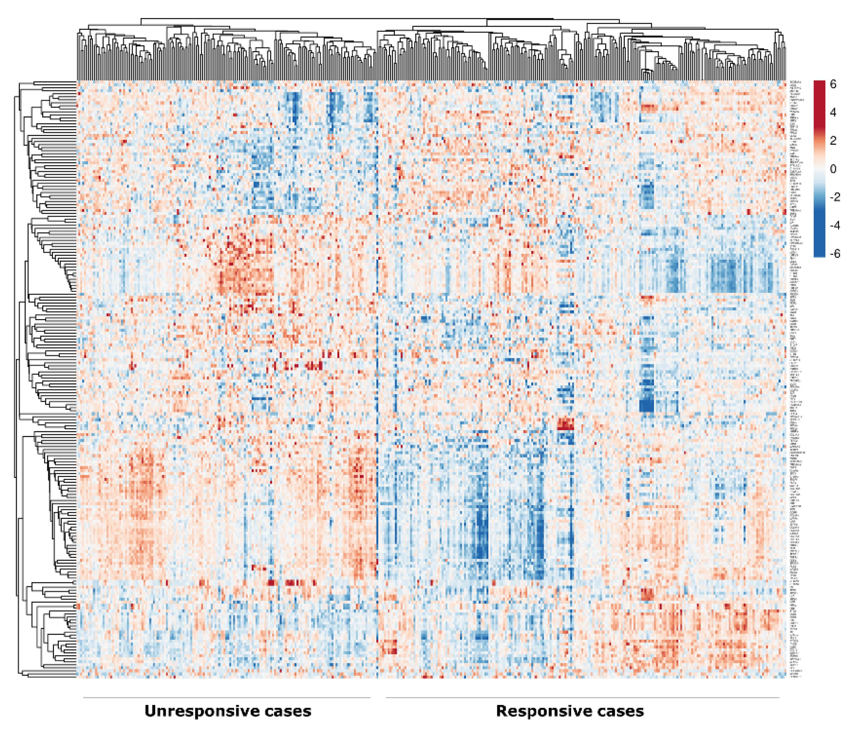 Cancers 12 01549 g001