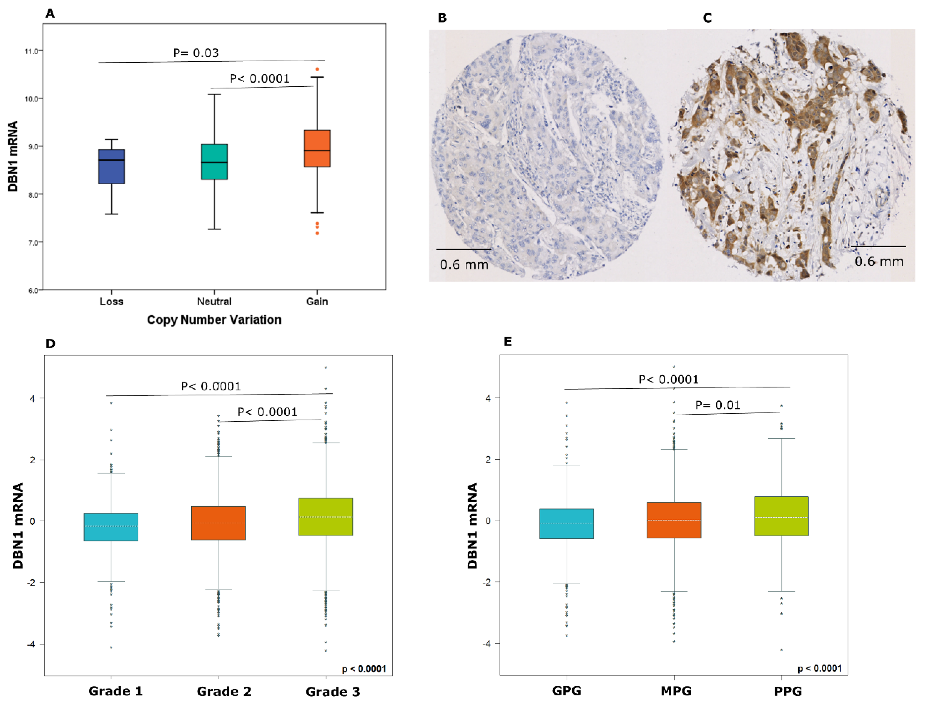 Cancers 12 01549 g002