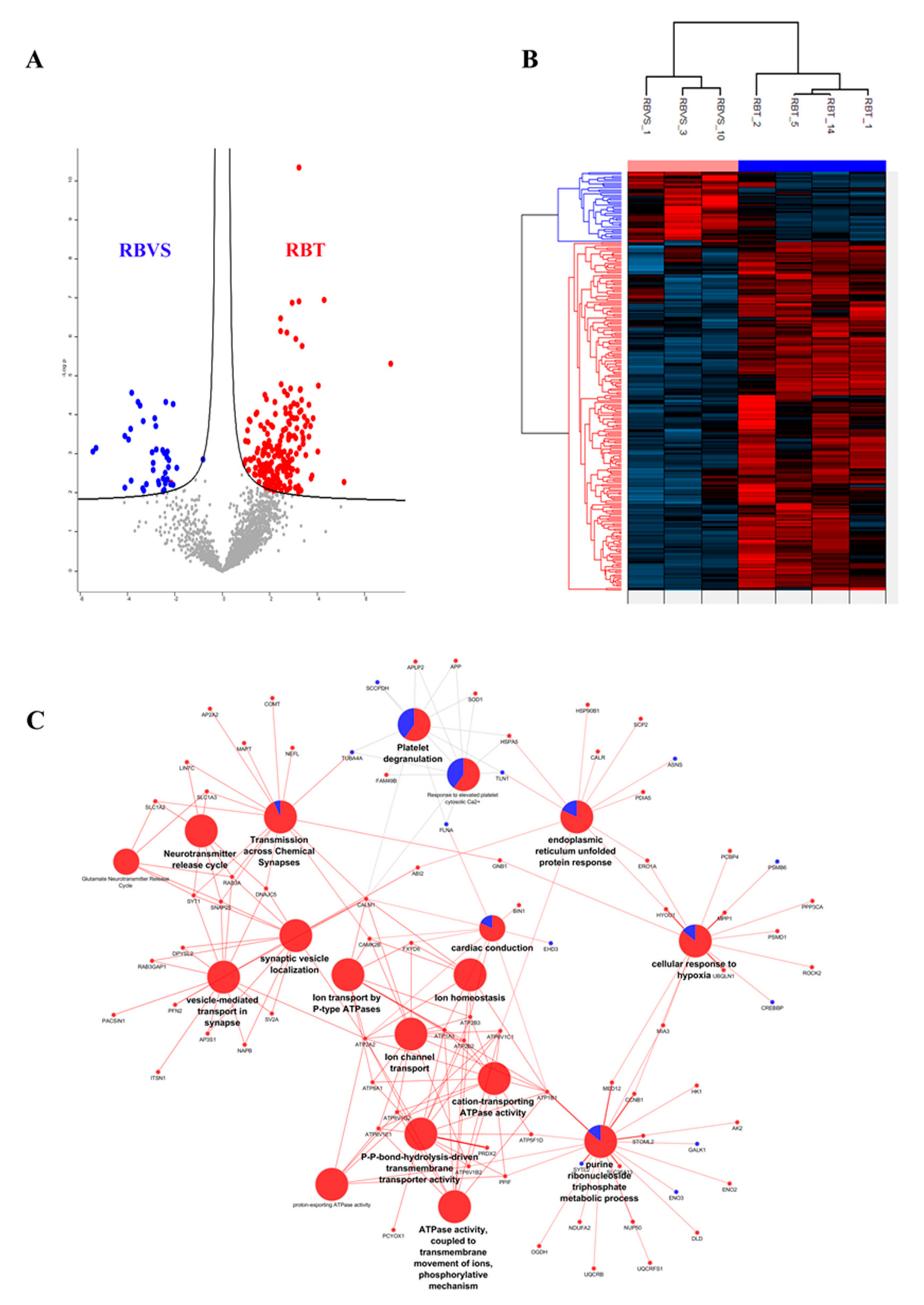 Cancers 12 01555 g006 Cancers 12 01555 g006