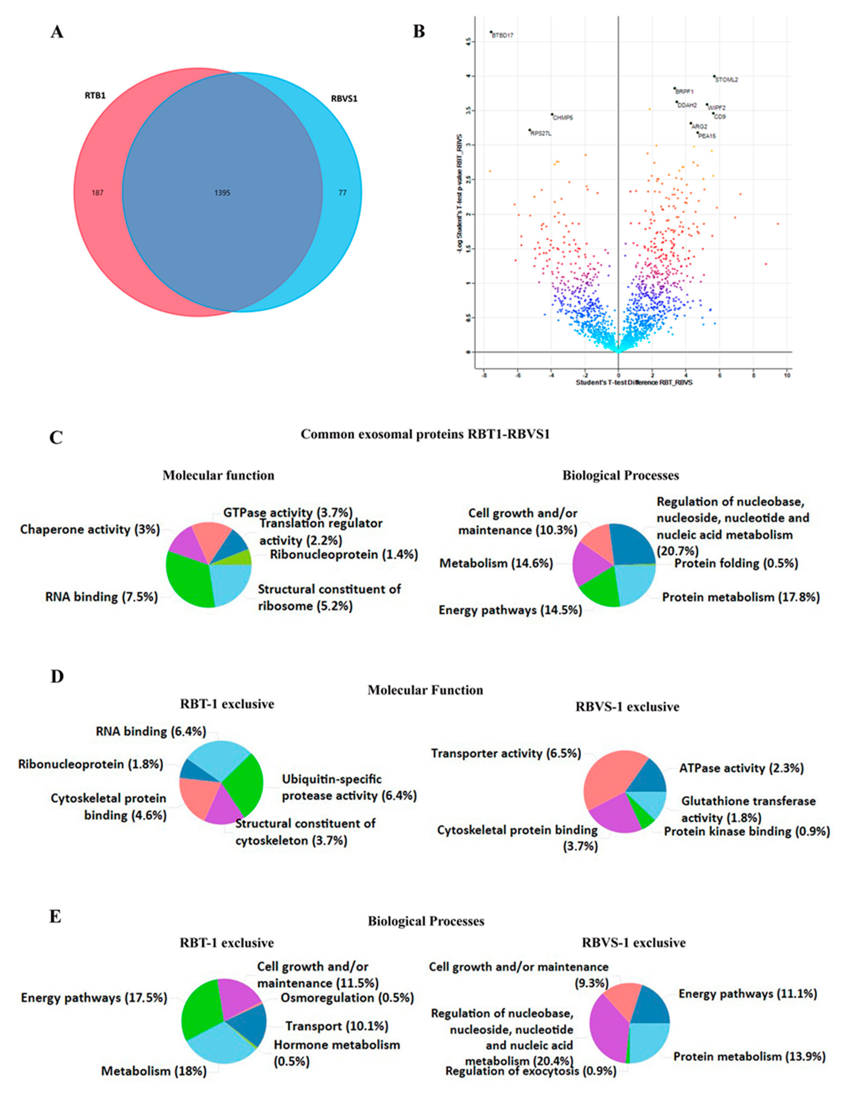 Cancers 12 01555 g007 Cancers 12 01555 g007