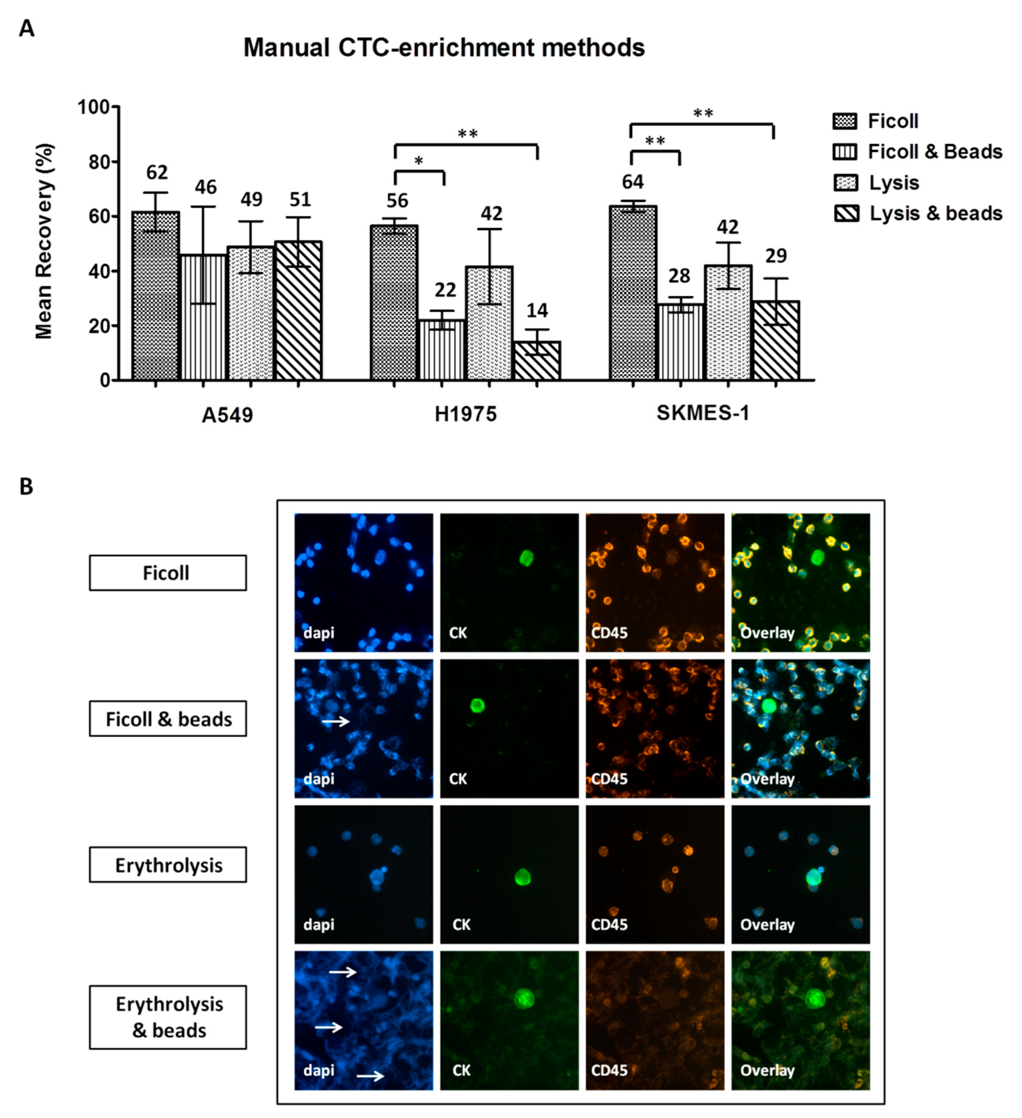 Cancers 12 01556 g002