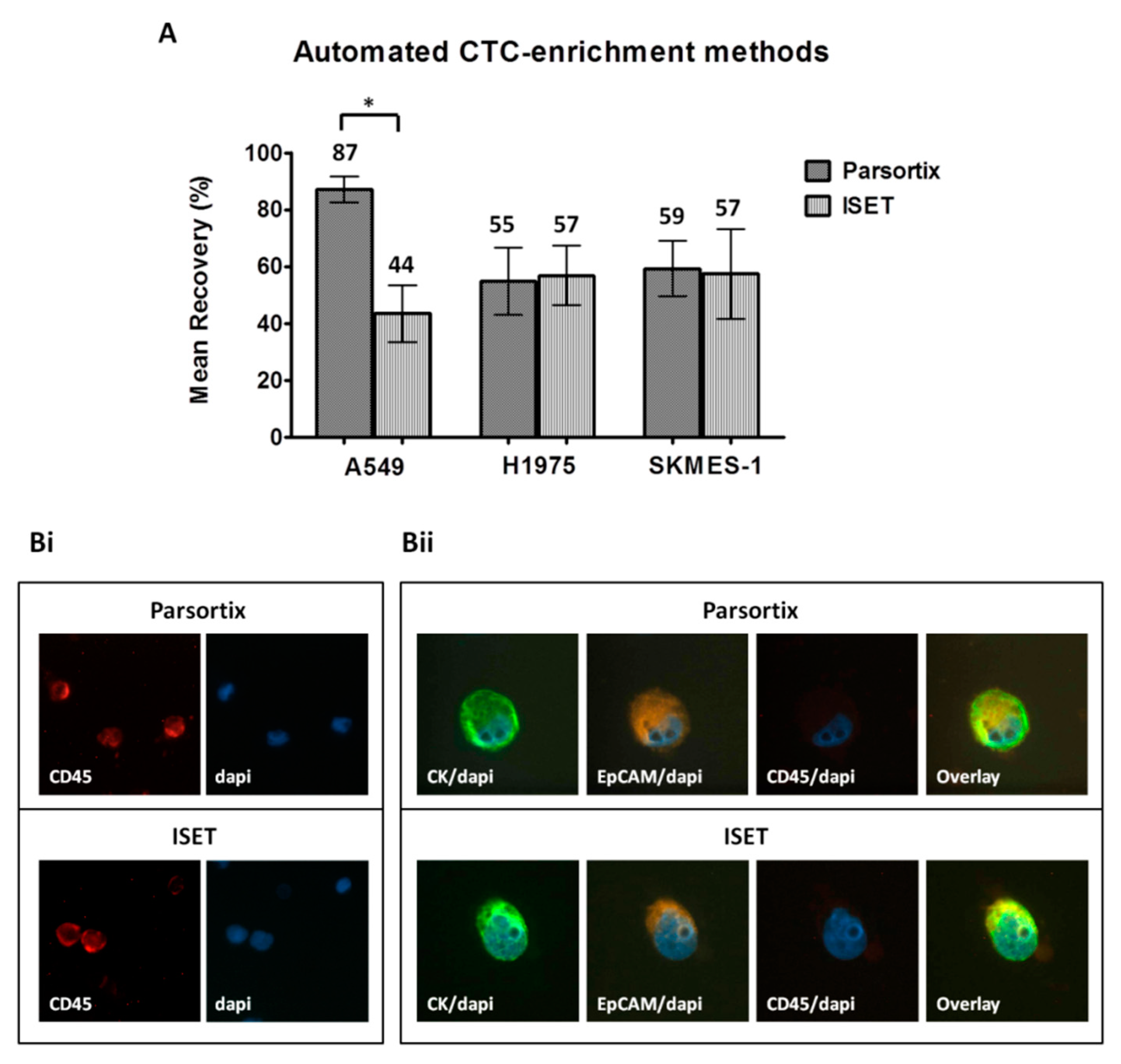 Cancers 12 01556 g003