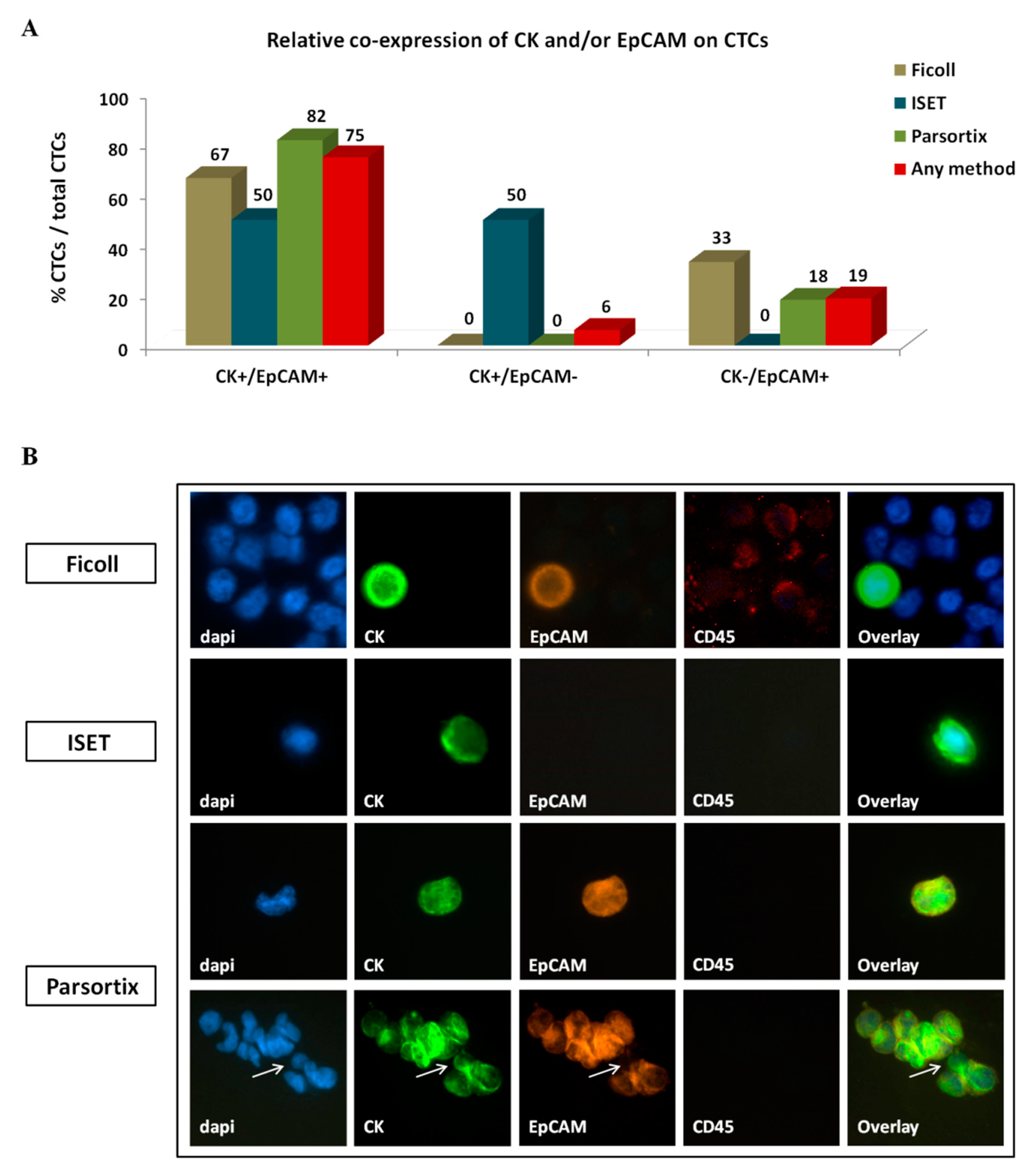 Cancers 12 01556 g004