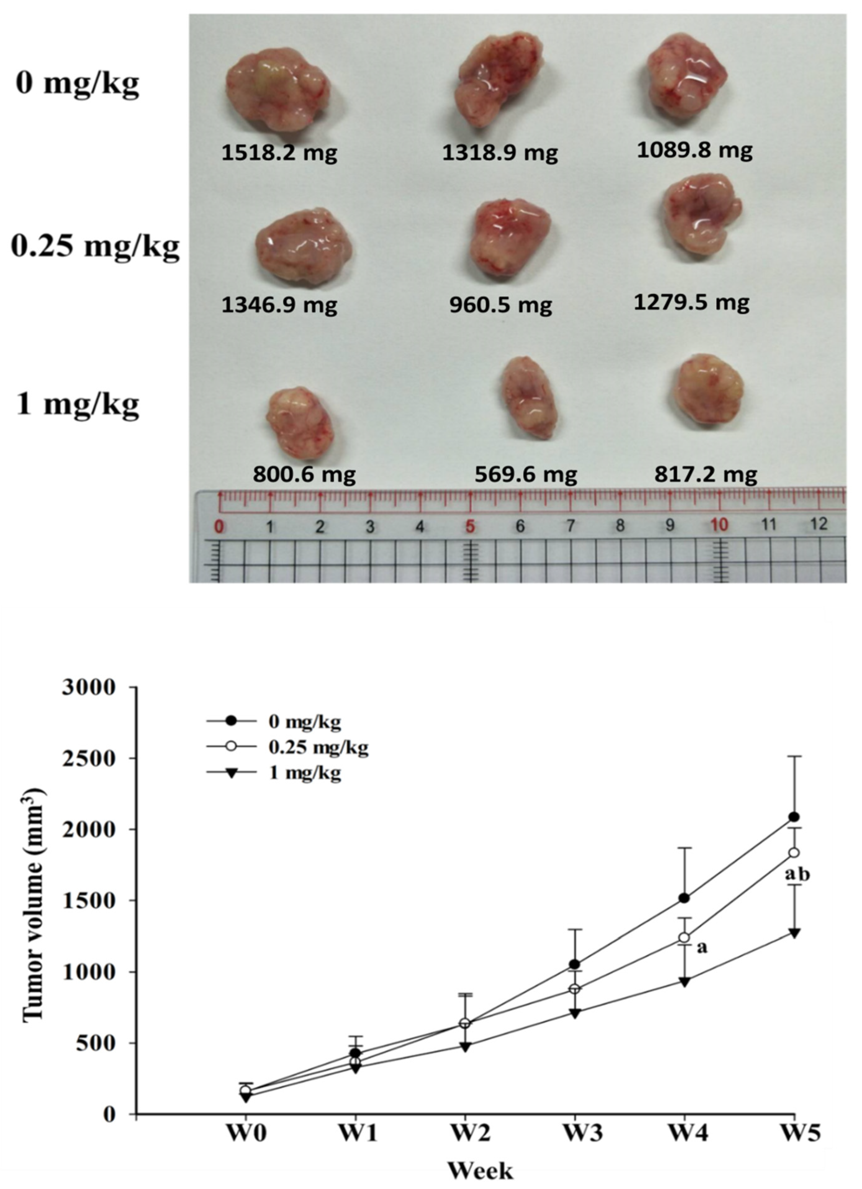 Cancers 12 01560 g006 Cancers 12 01560 g006
