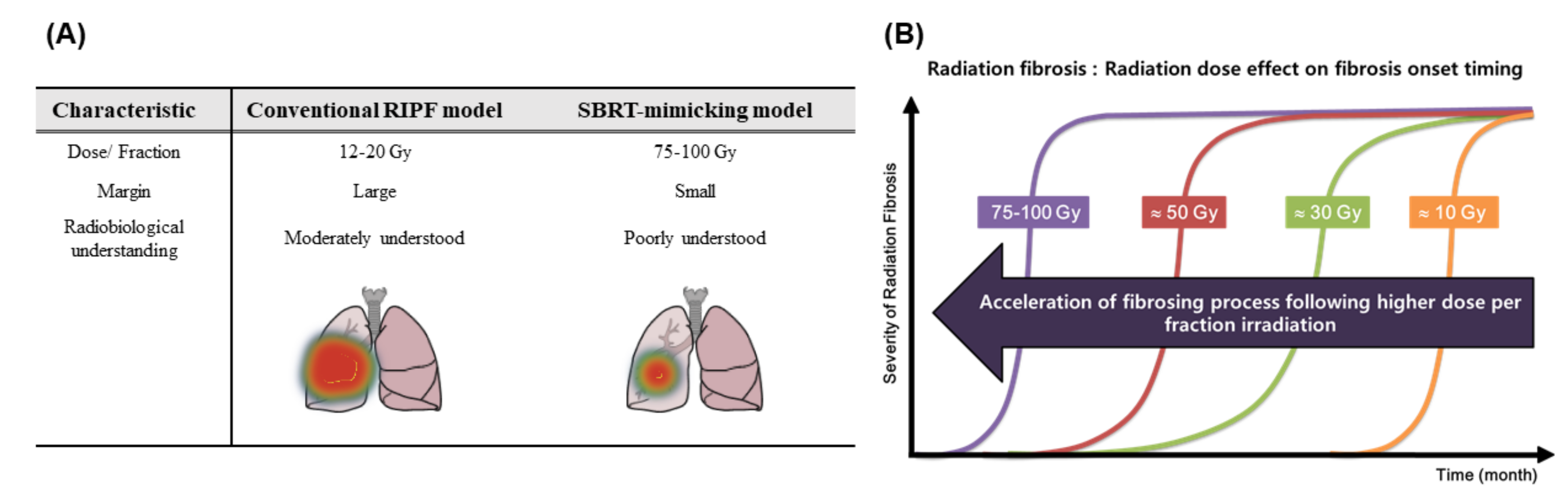 Cancers 12 01561 g003
