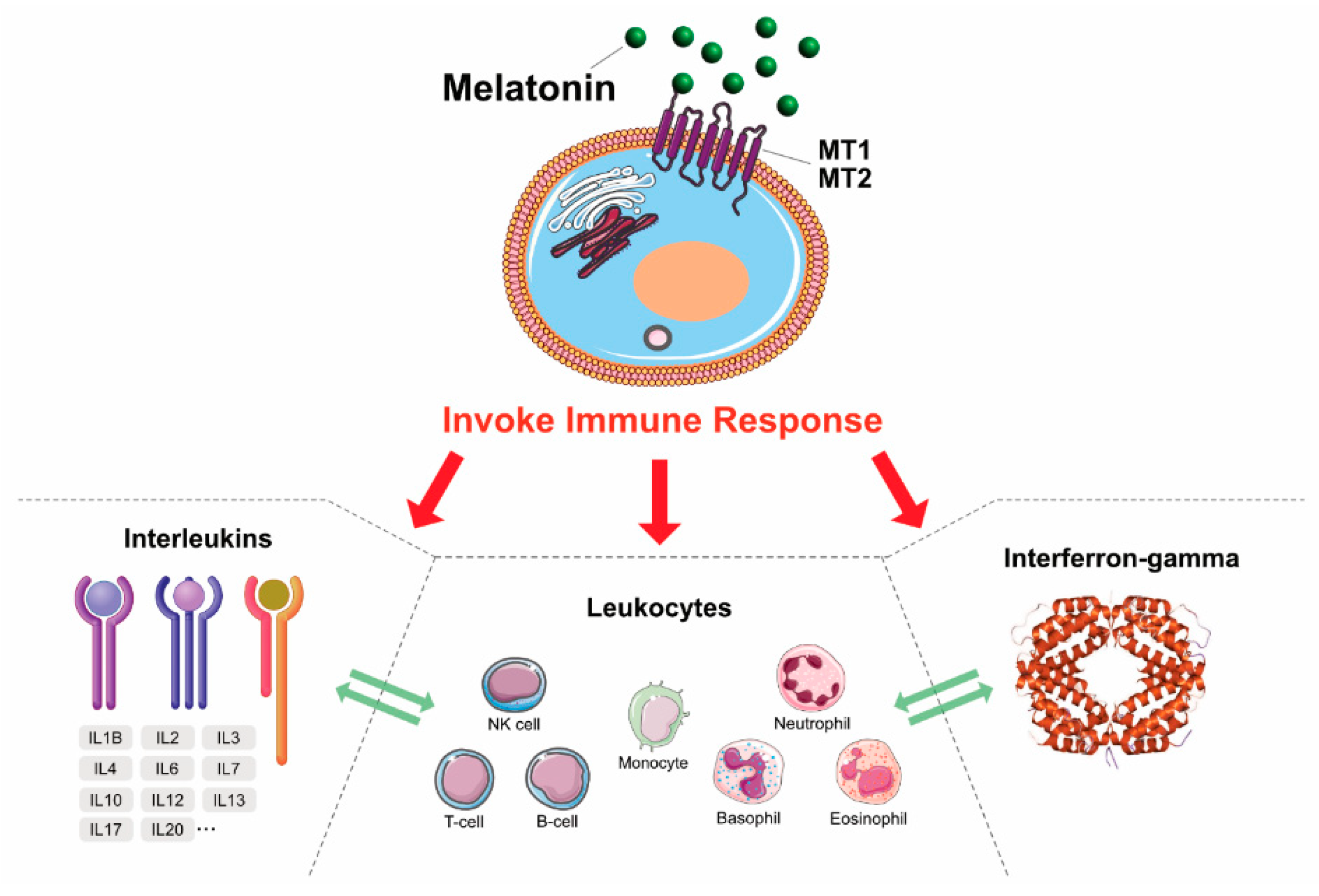 Cancers 12 01567 g003