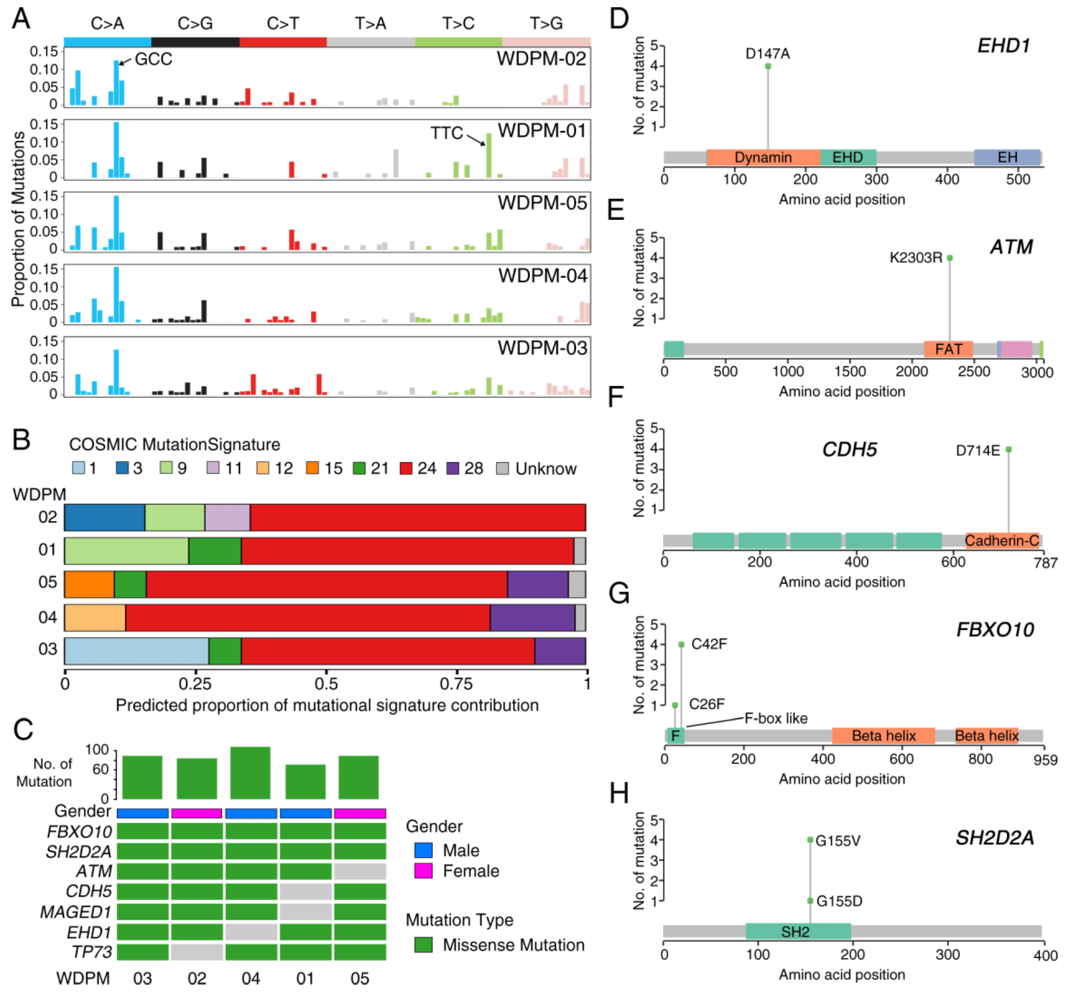 Cancers | Free Full-Text | Well-Differentiated Papillary ...