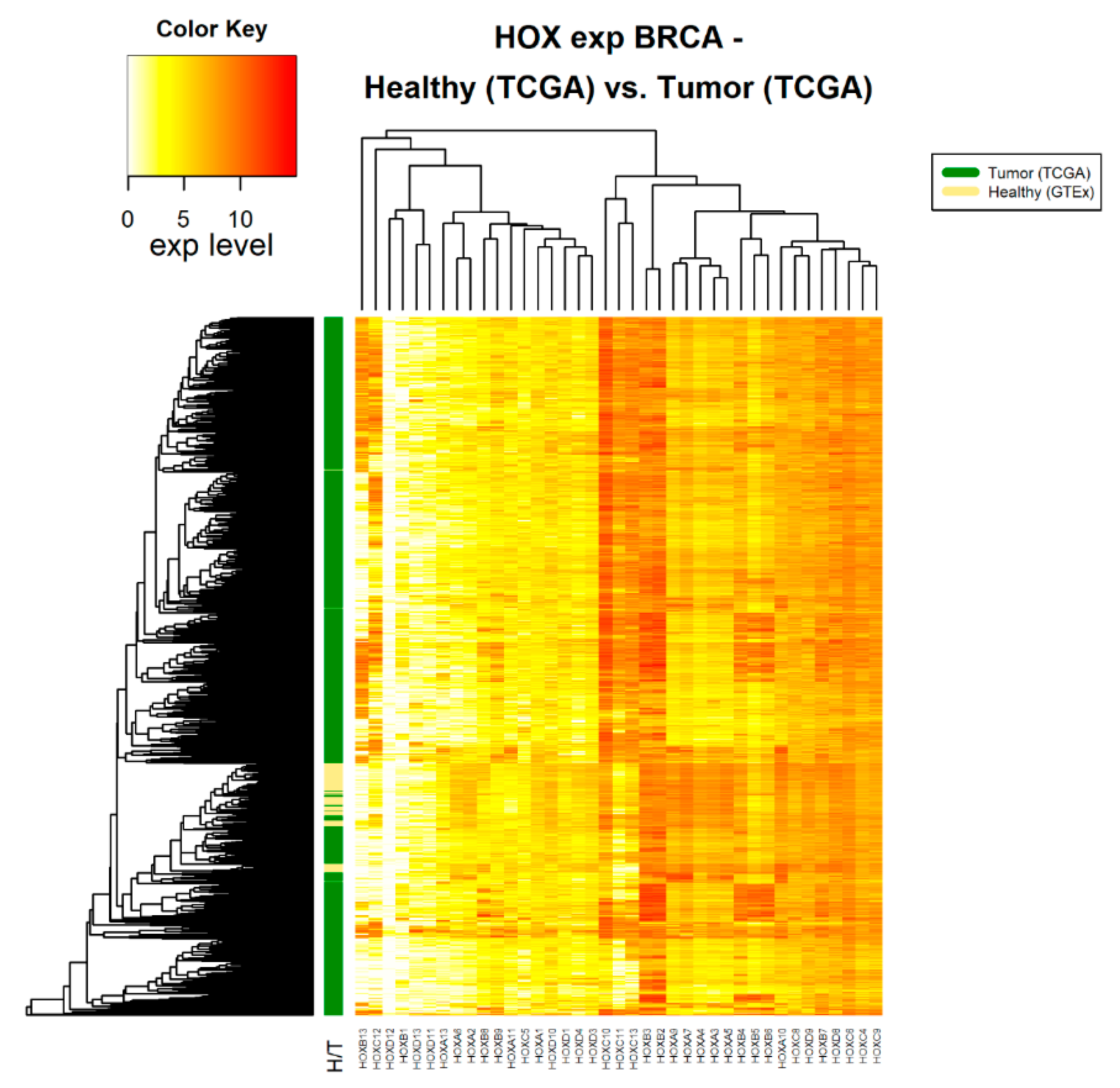 Cancers 12 01572 g001