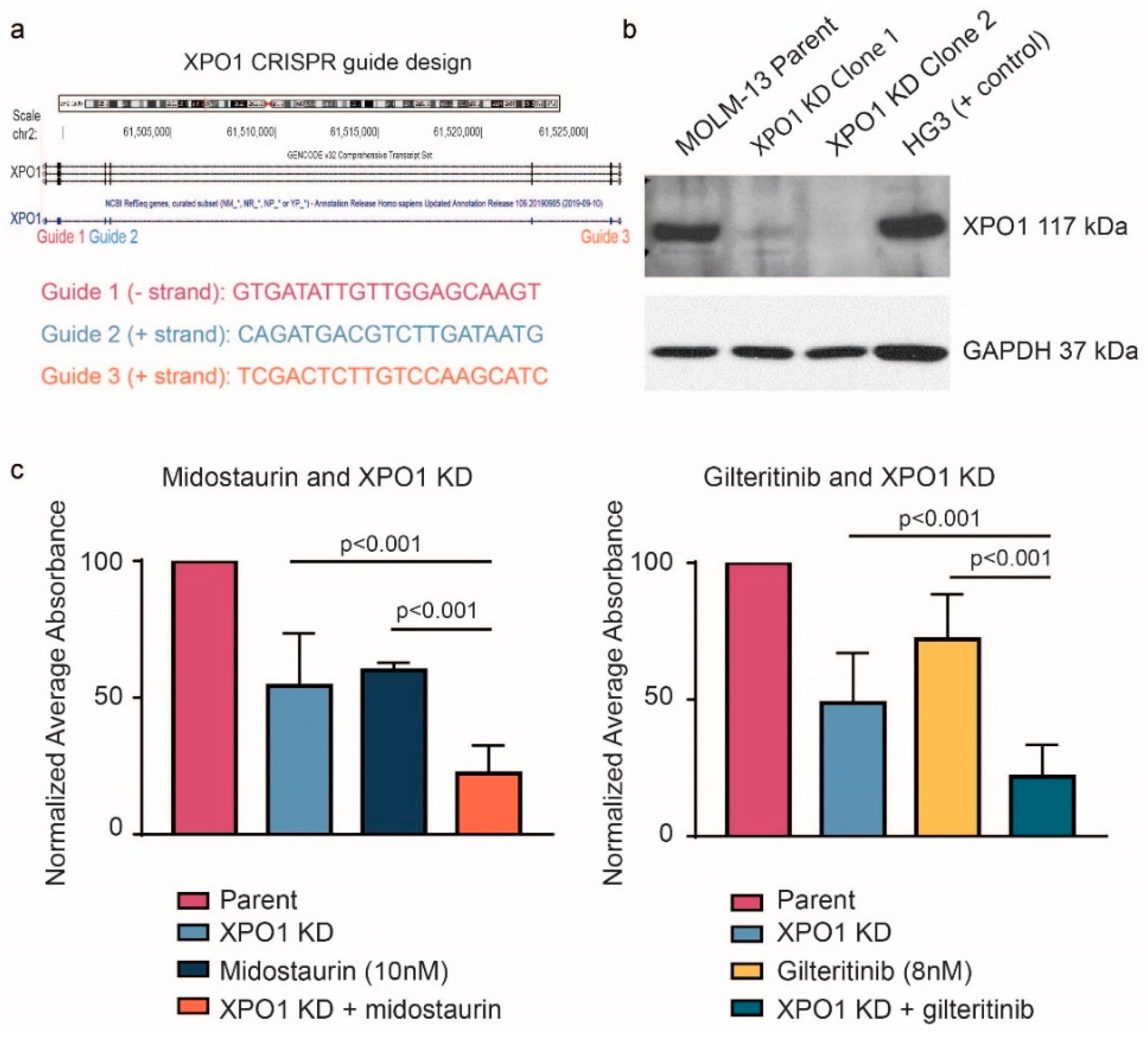Cancers 12 01574 g002 Cancers 12 01574 g002