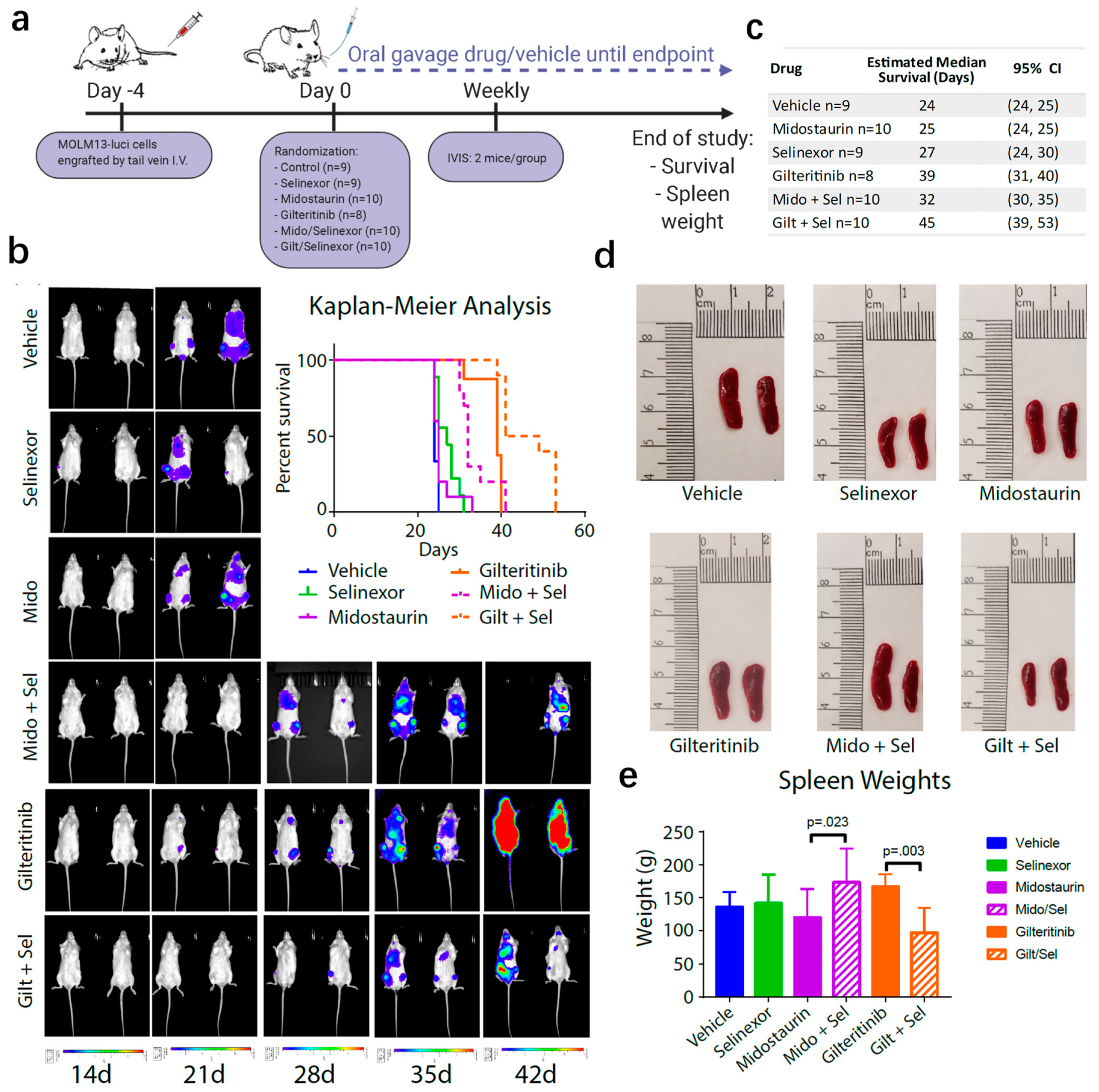 Cancers 12 01574 g004 Cancers 12 01574 g004