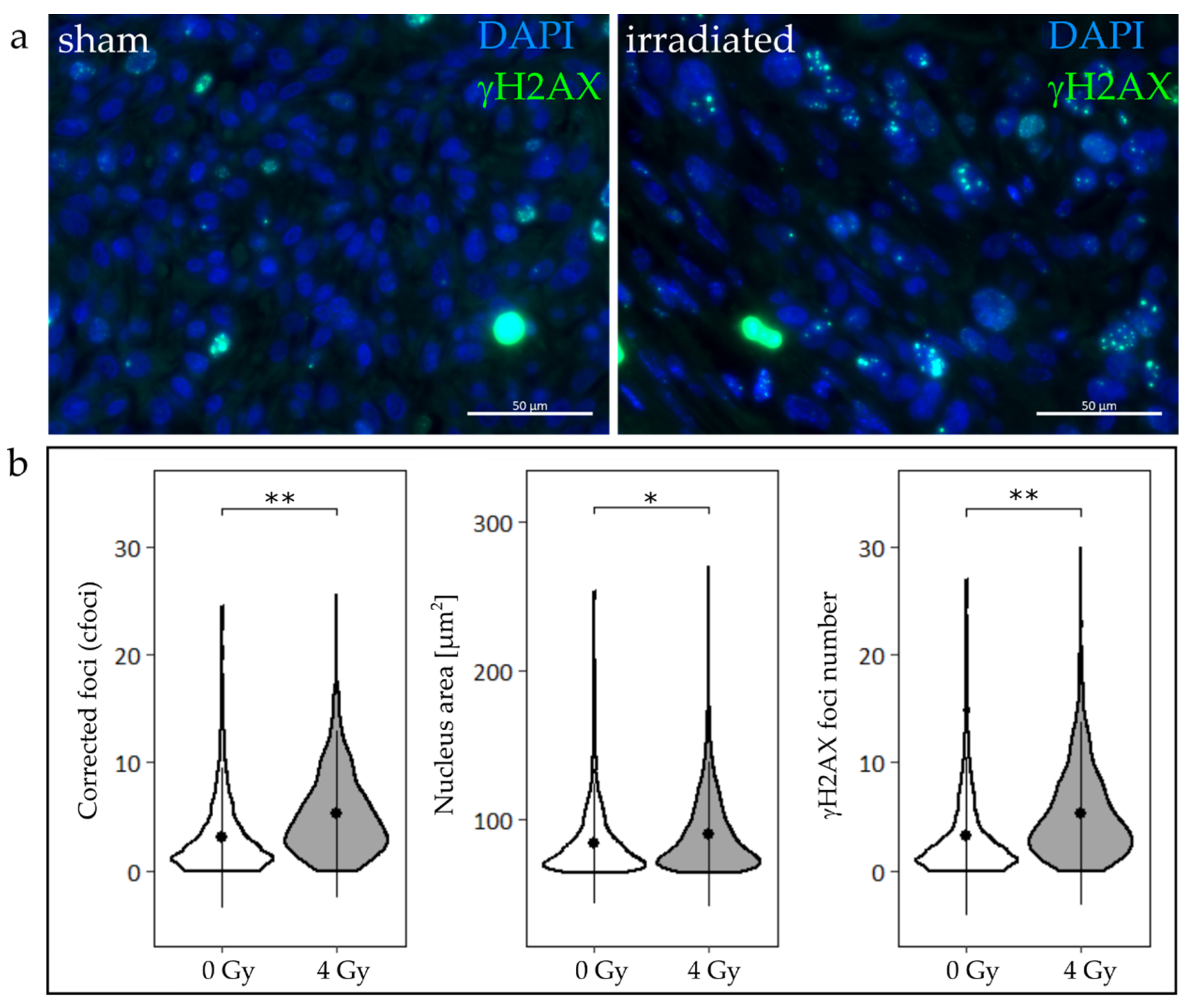 Cancers 12 01589 g005
