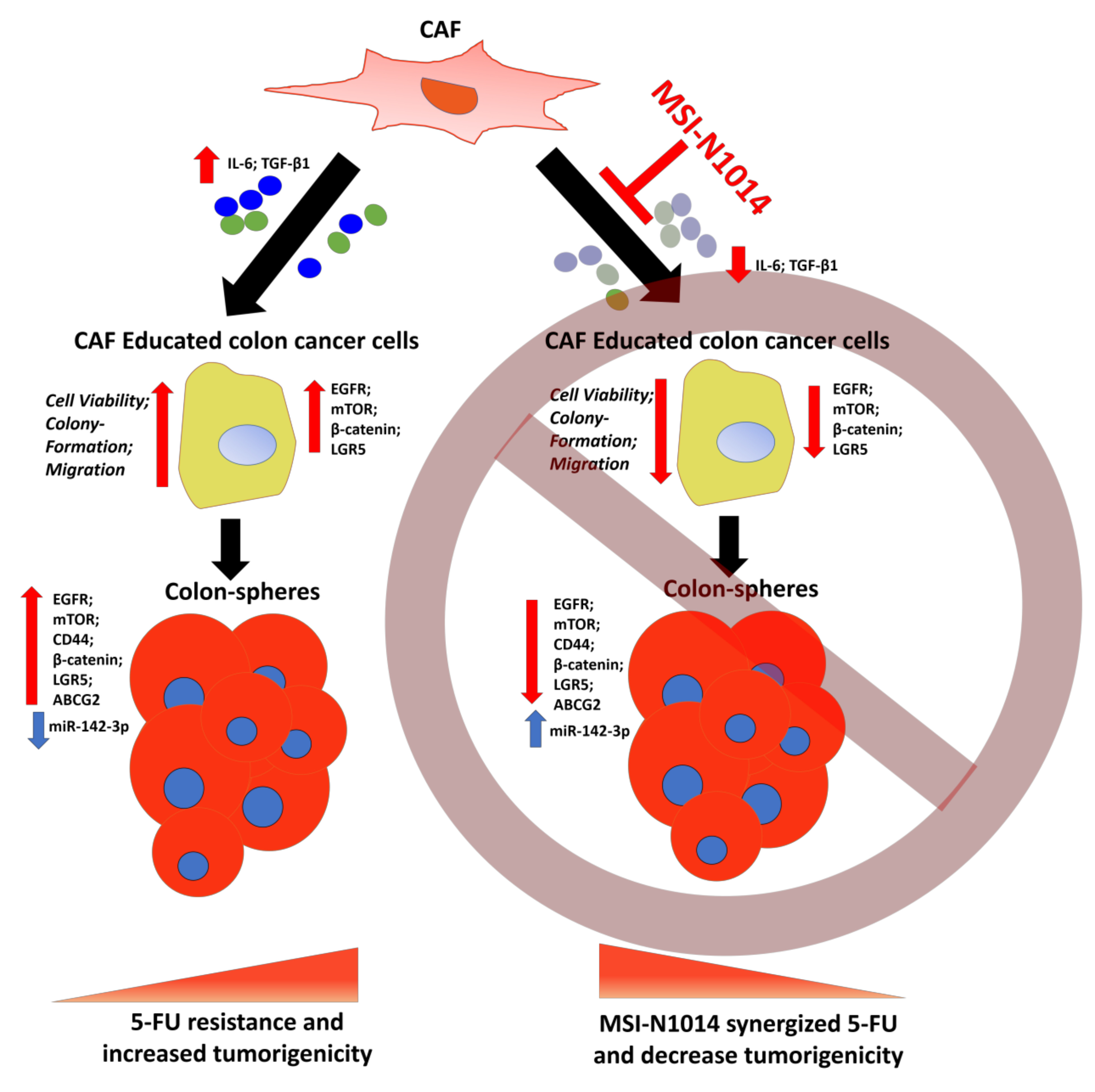 taiwan 3p transform wife