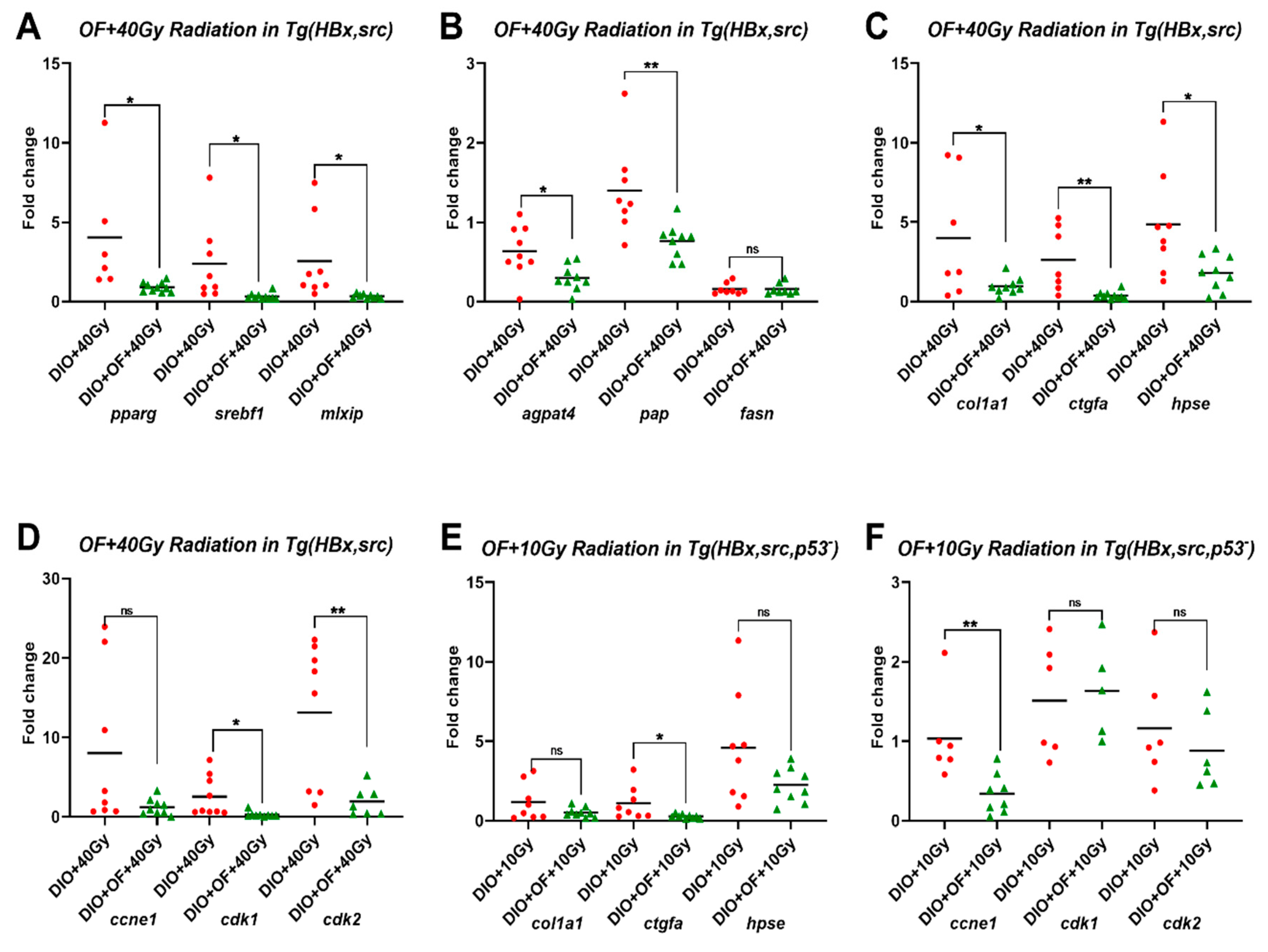 Cancers 12 01608 g003