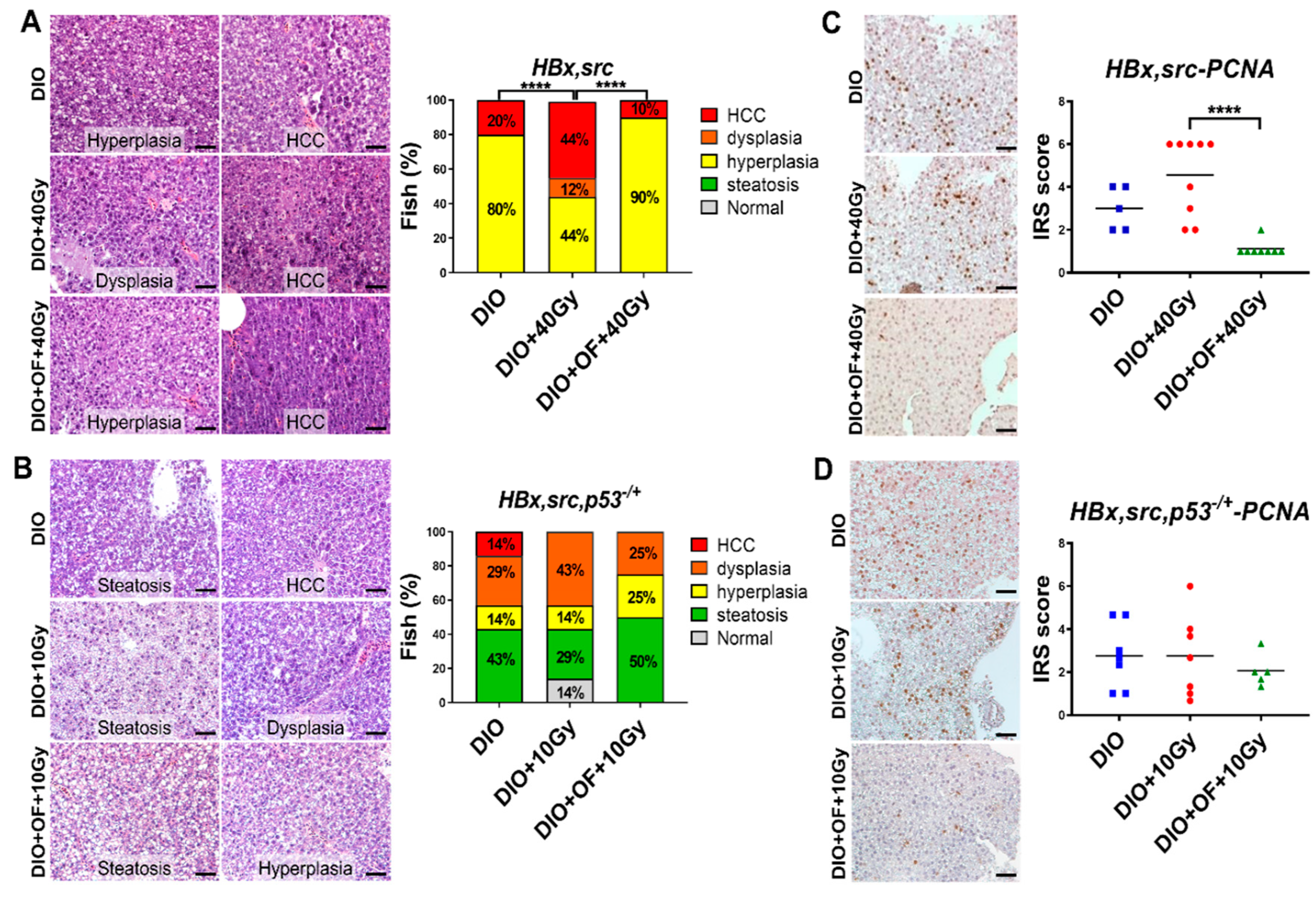 Cancers 12 01608 g005