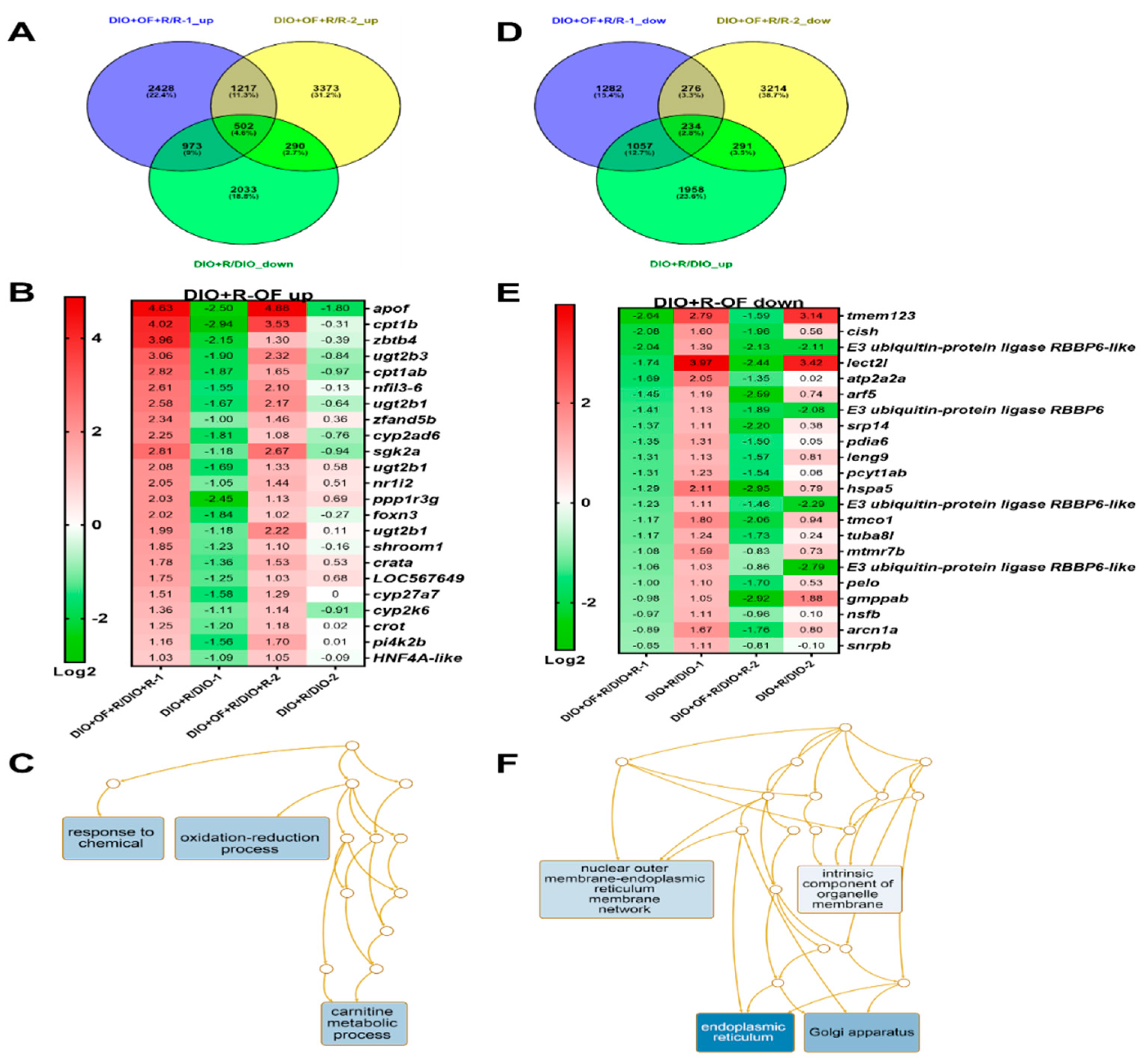 Cancers 12 01608 g007