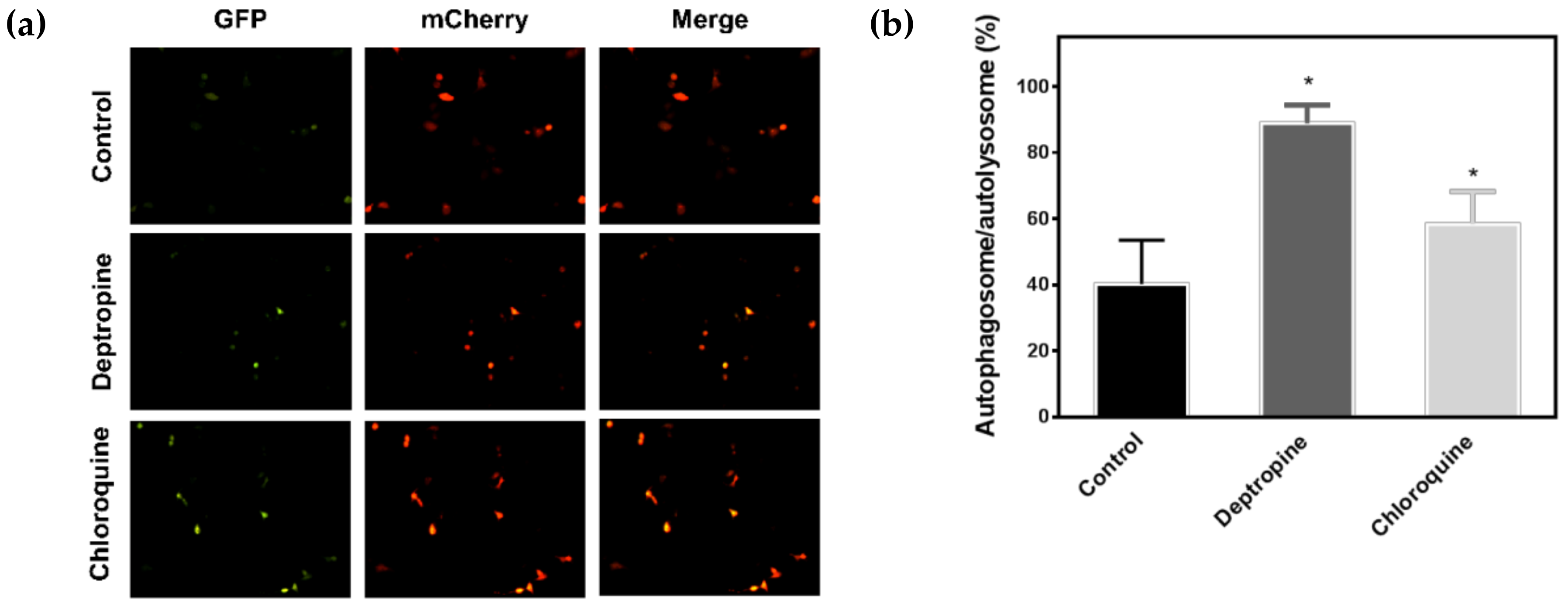 Cancers 12 01610 g004 Cancers 12 01610 g004