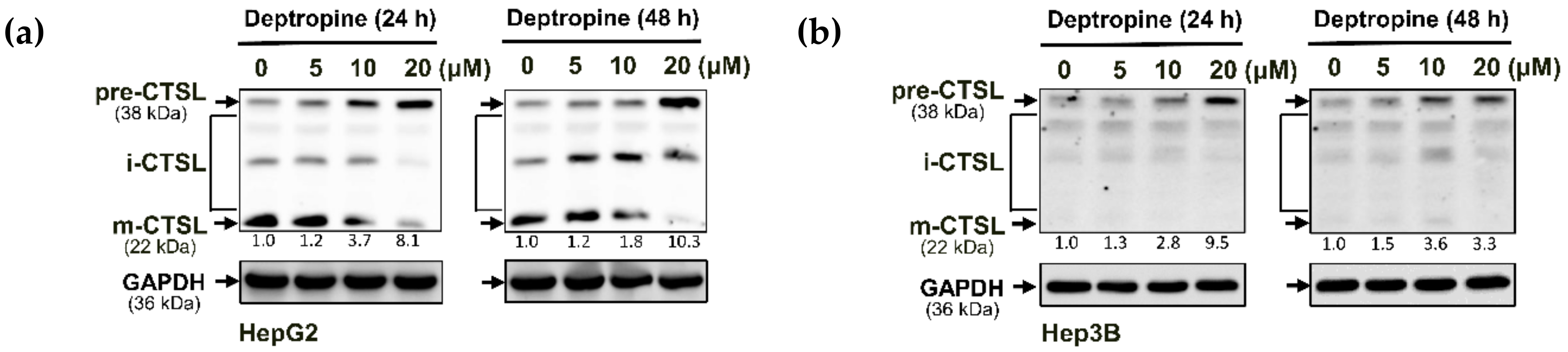 Cancers 12 01610 g005 Cancers 12 01610 g005