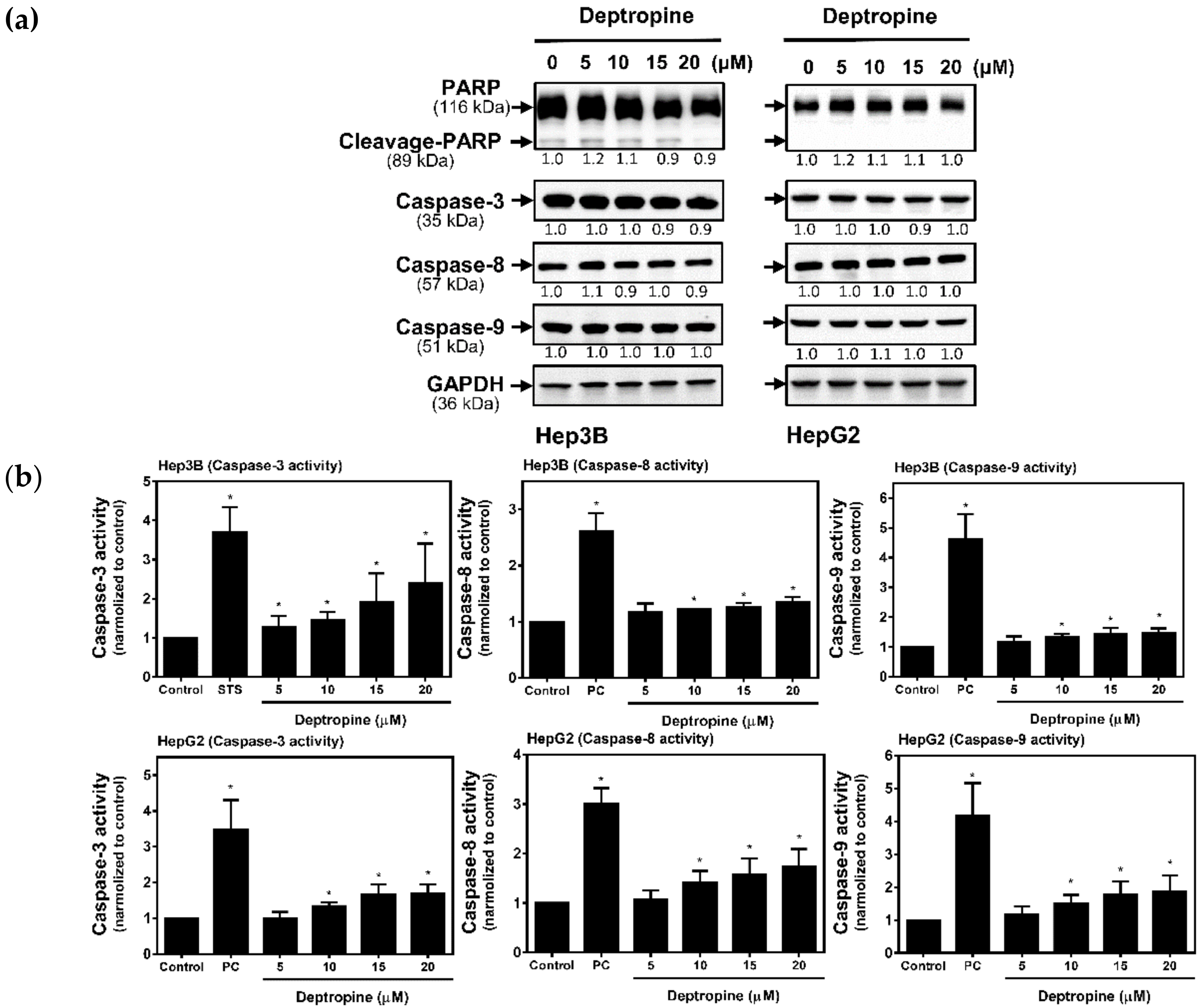 Cancers 12 01610 g006 Cancers 12 01610 g006