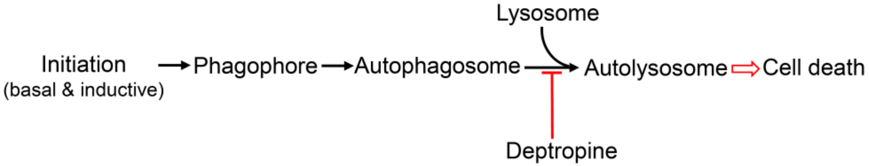 Cancers 12 01610 g008 Cancers 12 01610 g008