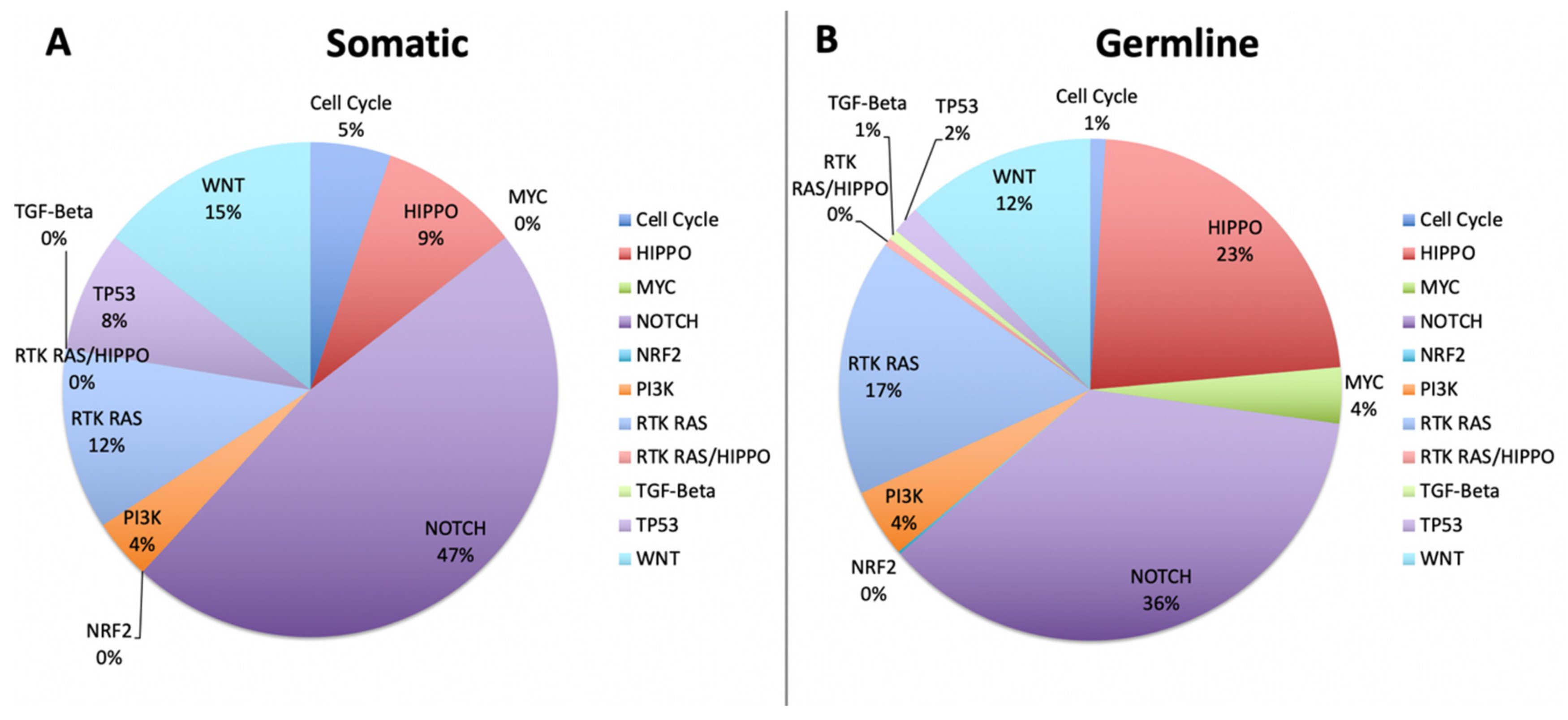 Cancers 12 01618 g006 Cancers 12 01618 g006