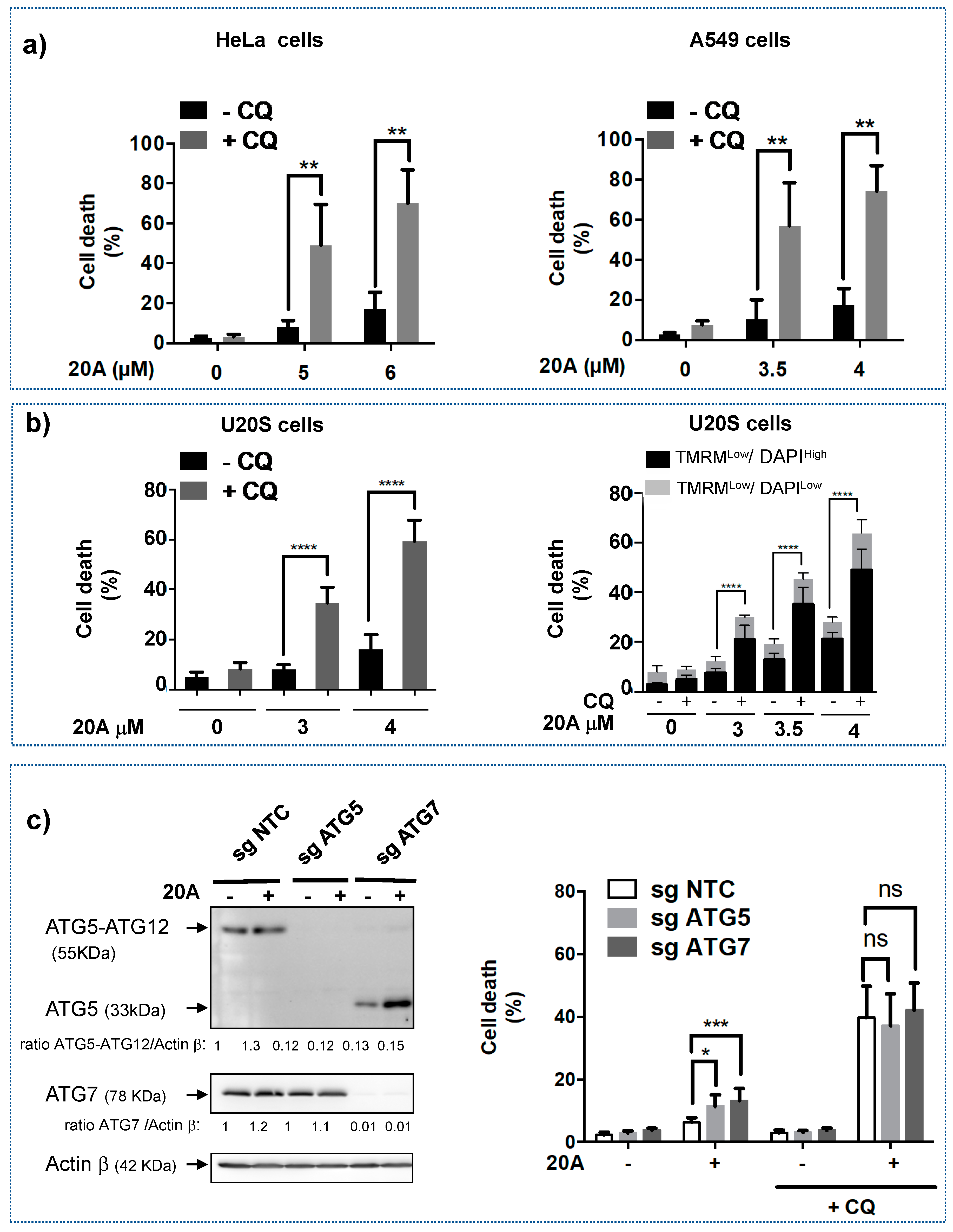 Cancers 12 01621 g003 Cancers 12 01621 g003