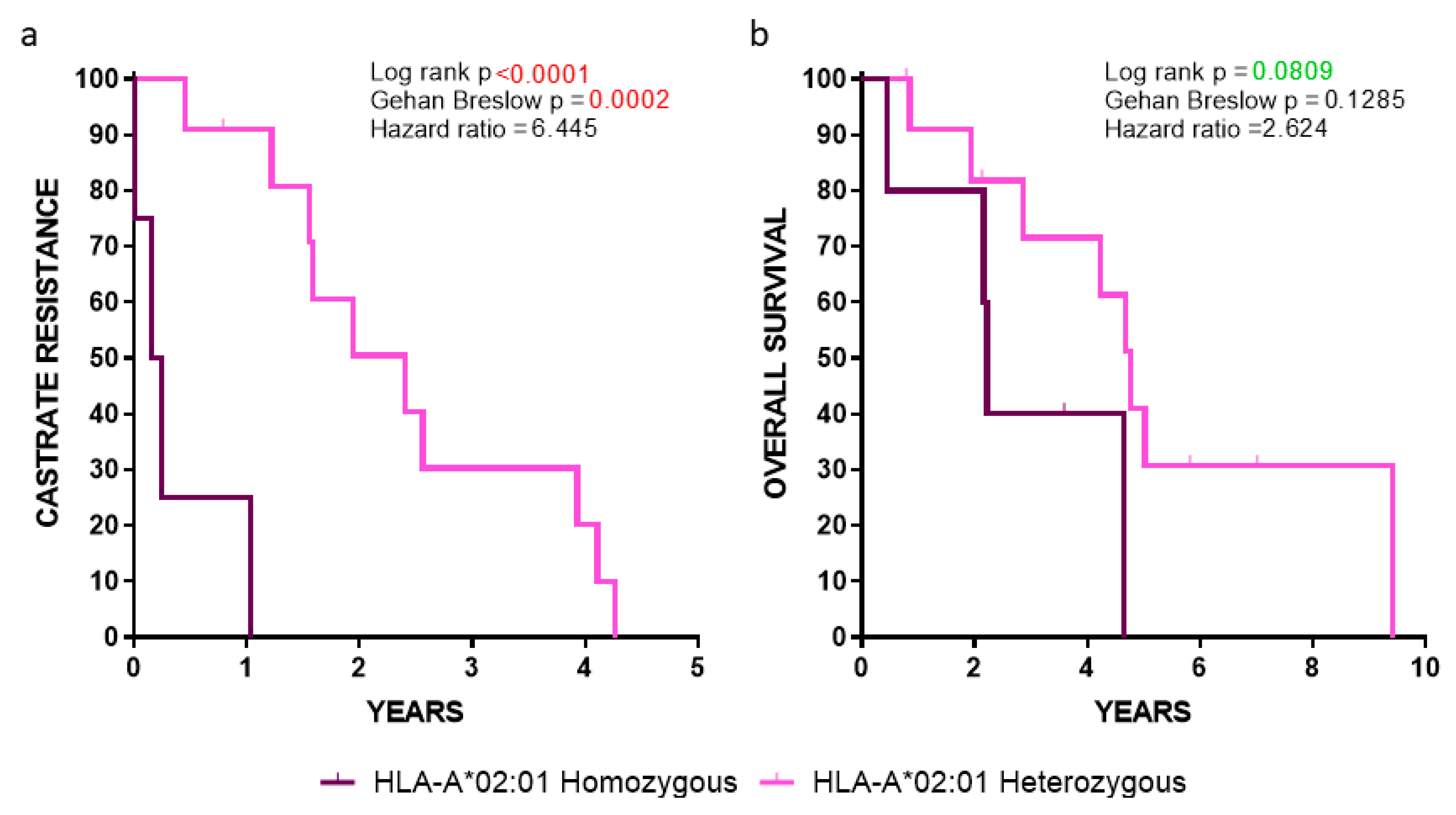 Cancers 12 01623 g004 Cancers 12 01623 g004