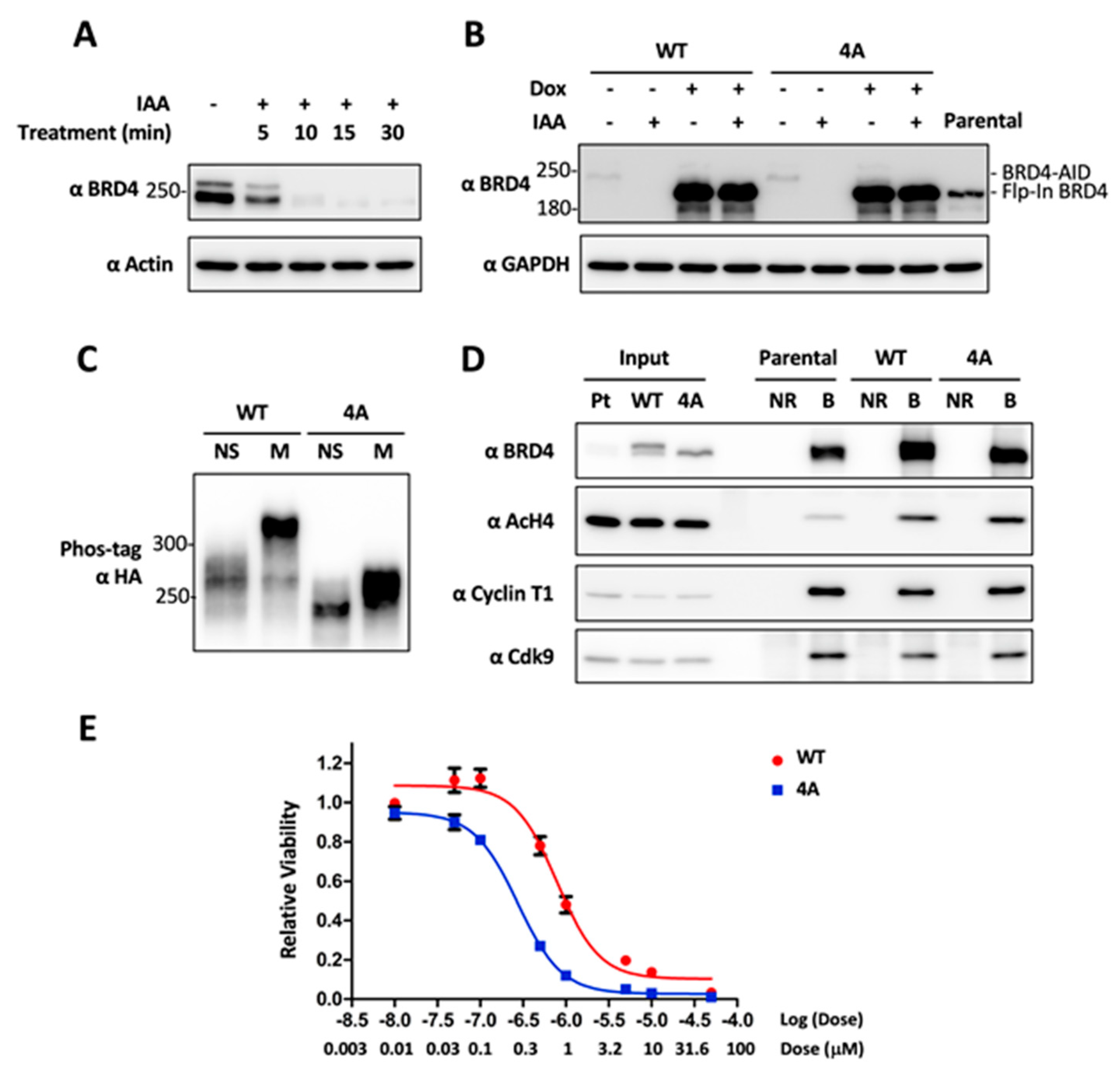Cancers 12 01637 g004