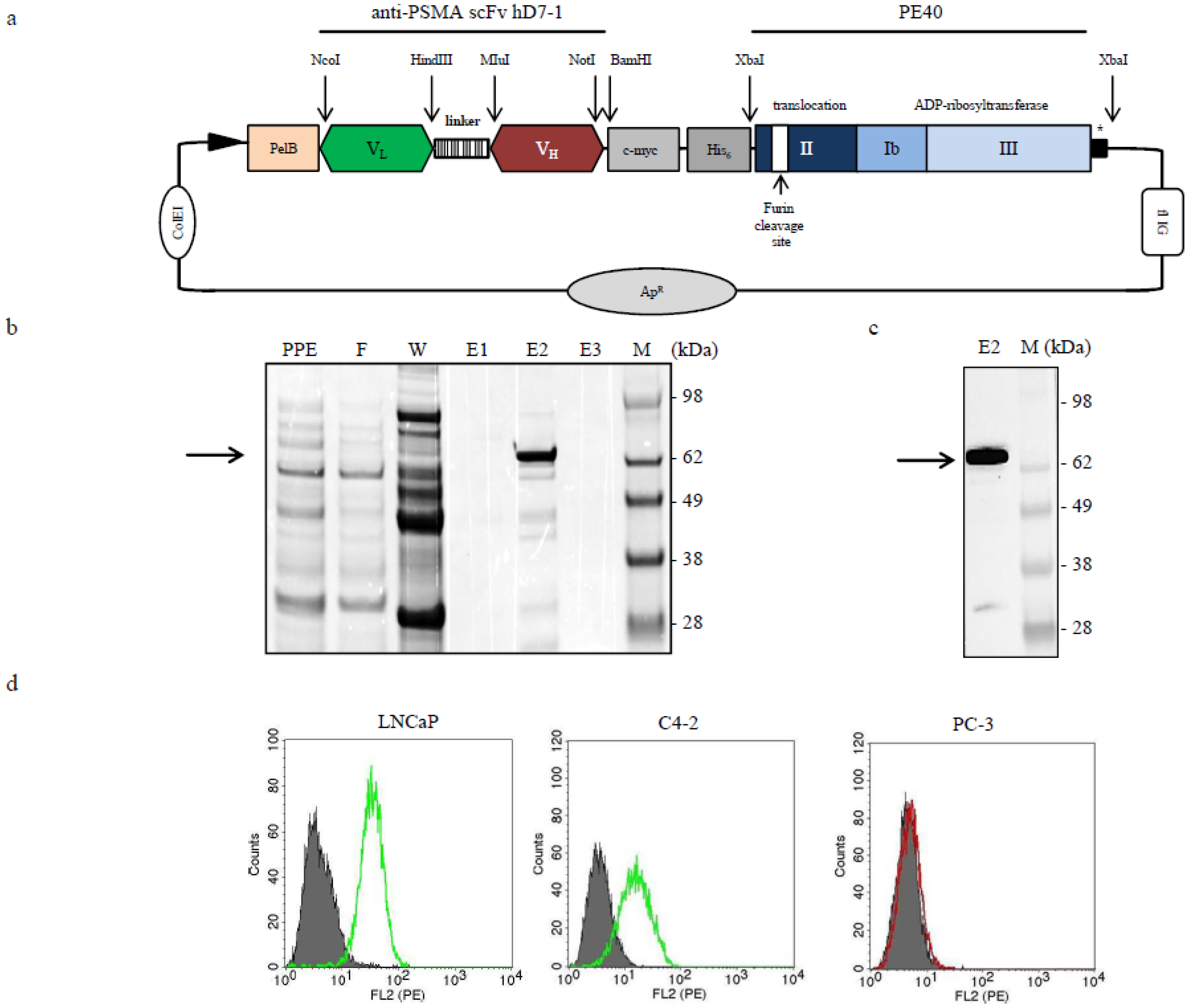 Cancers 12 01648 g001 Cancers 12 01648 g001