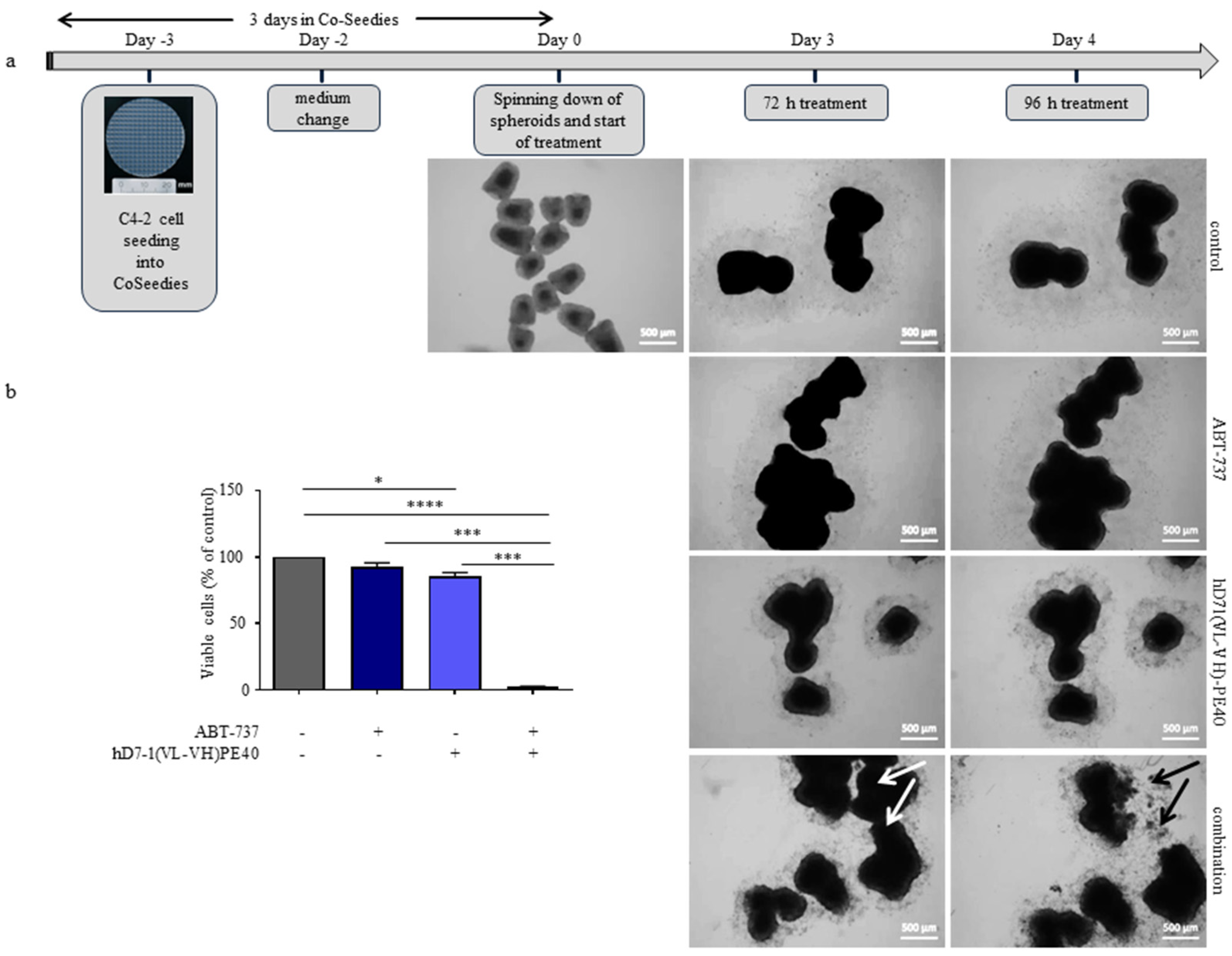 Cancers 12 01648 g005 Cancers 12 01648 g005