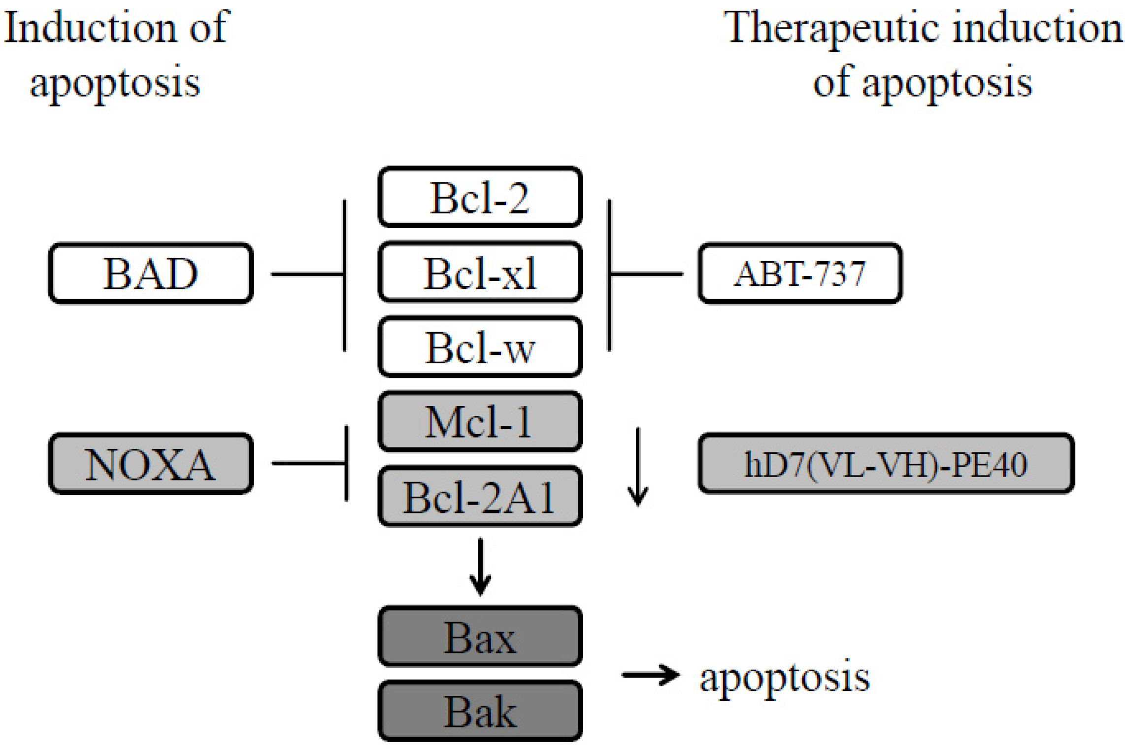 Cancers 12 01648 g007 Cancers 12 01648 g007