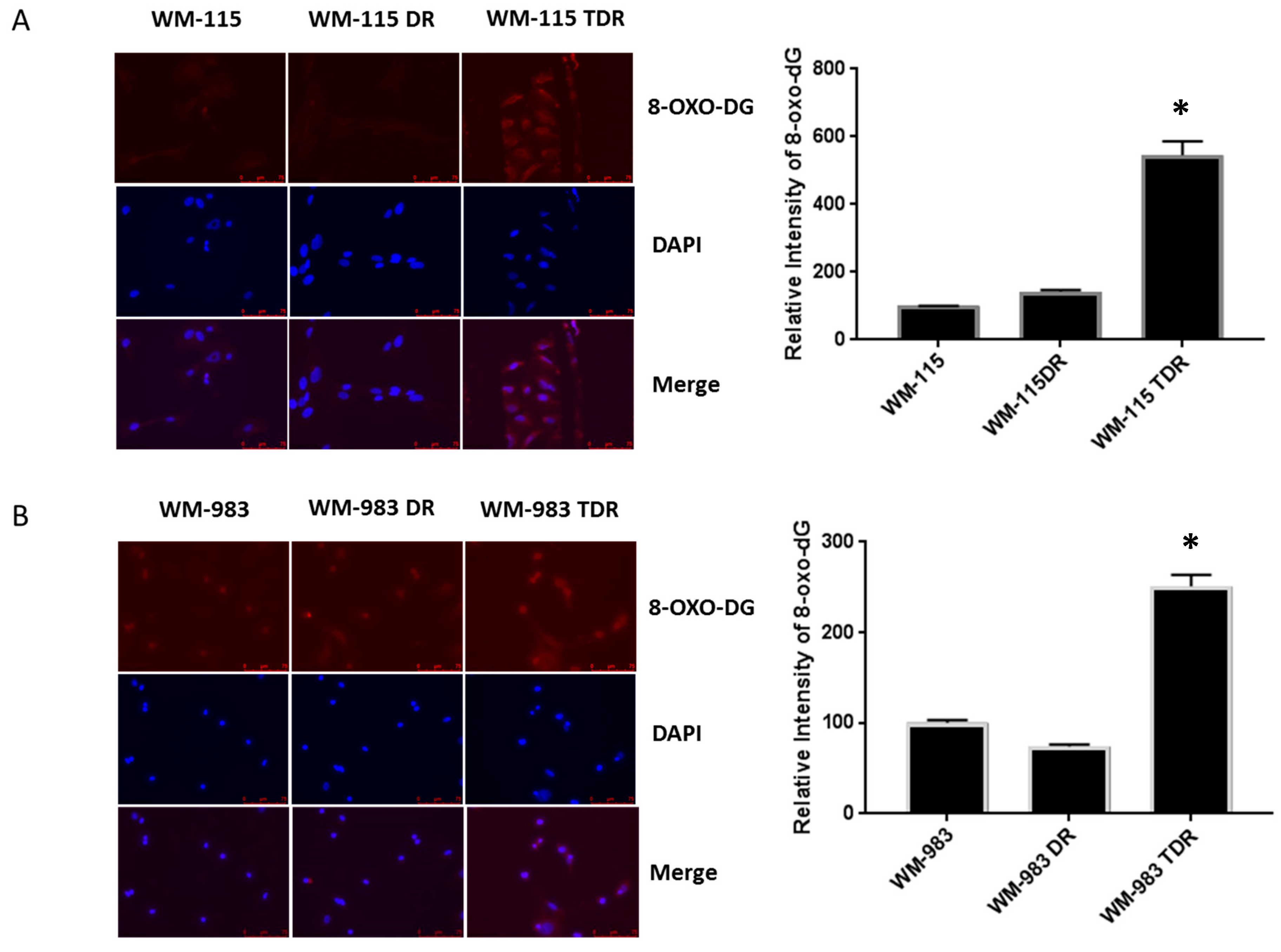Cancers 12 01661 g003
