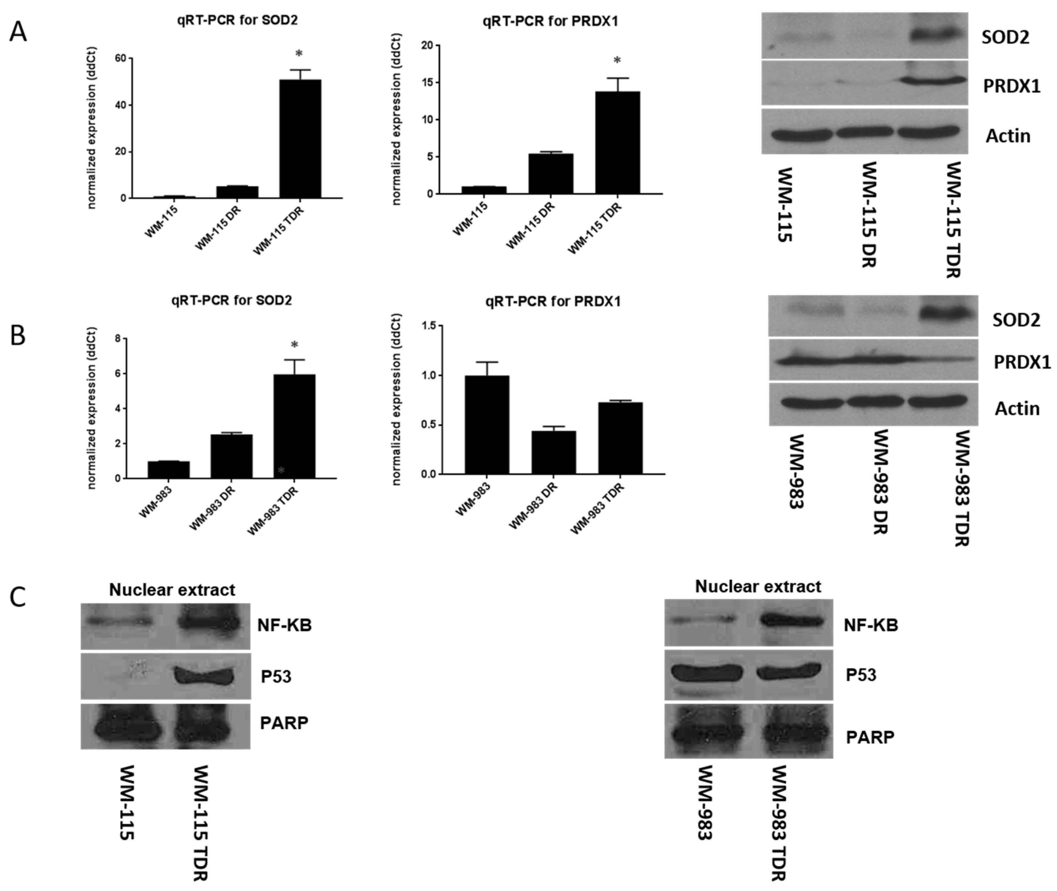 Cancers 12 01661 g004