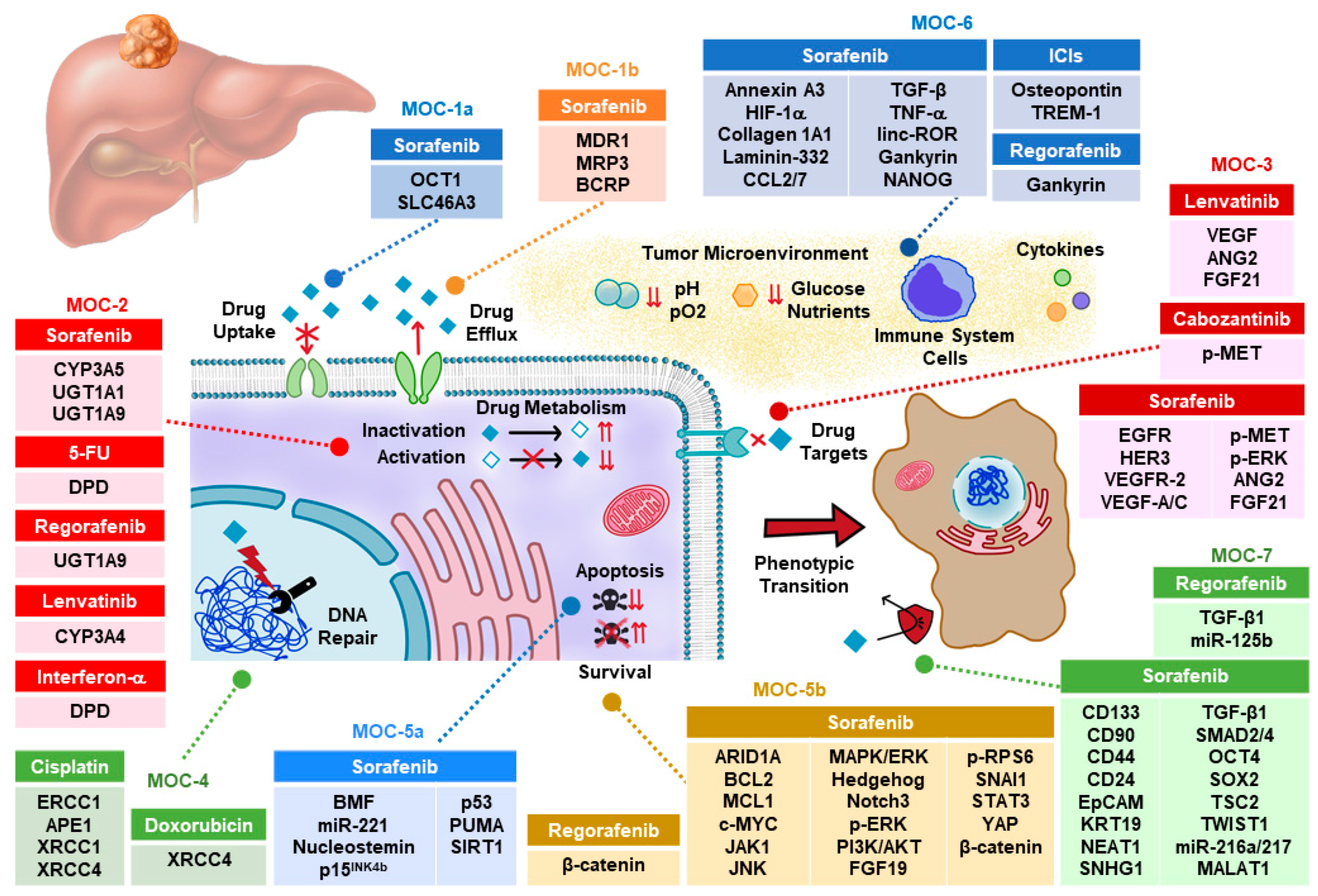Cancers 12 01663 g001 Cancers 12 01663 g001