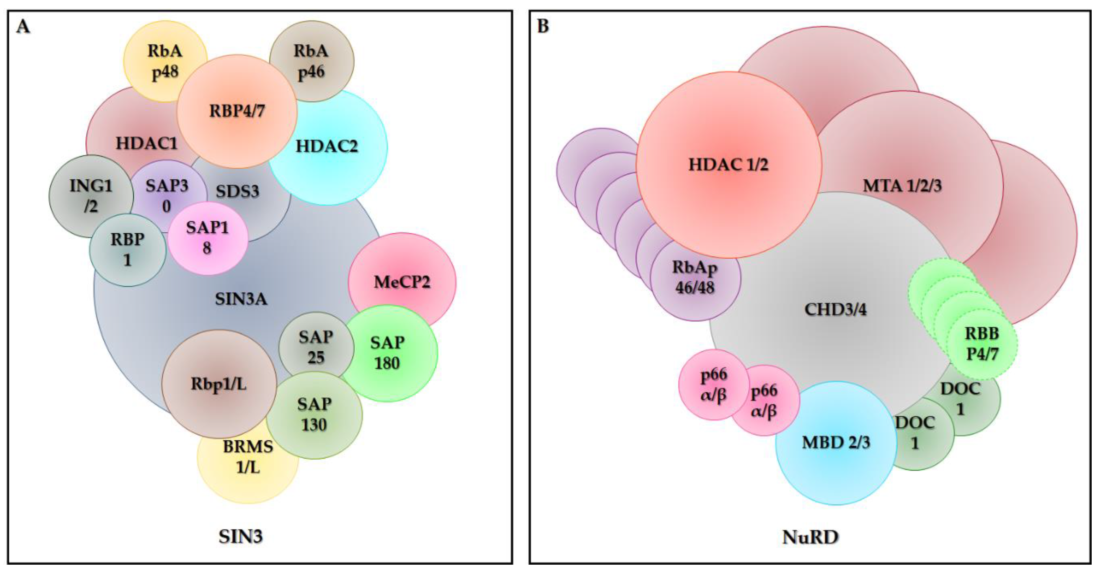 Cancers 12 01664 g003